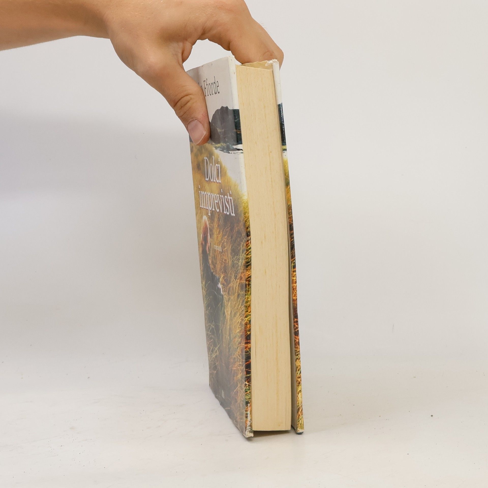 Katie Fforde Dolci imprevisti