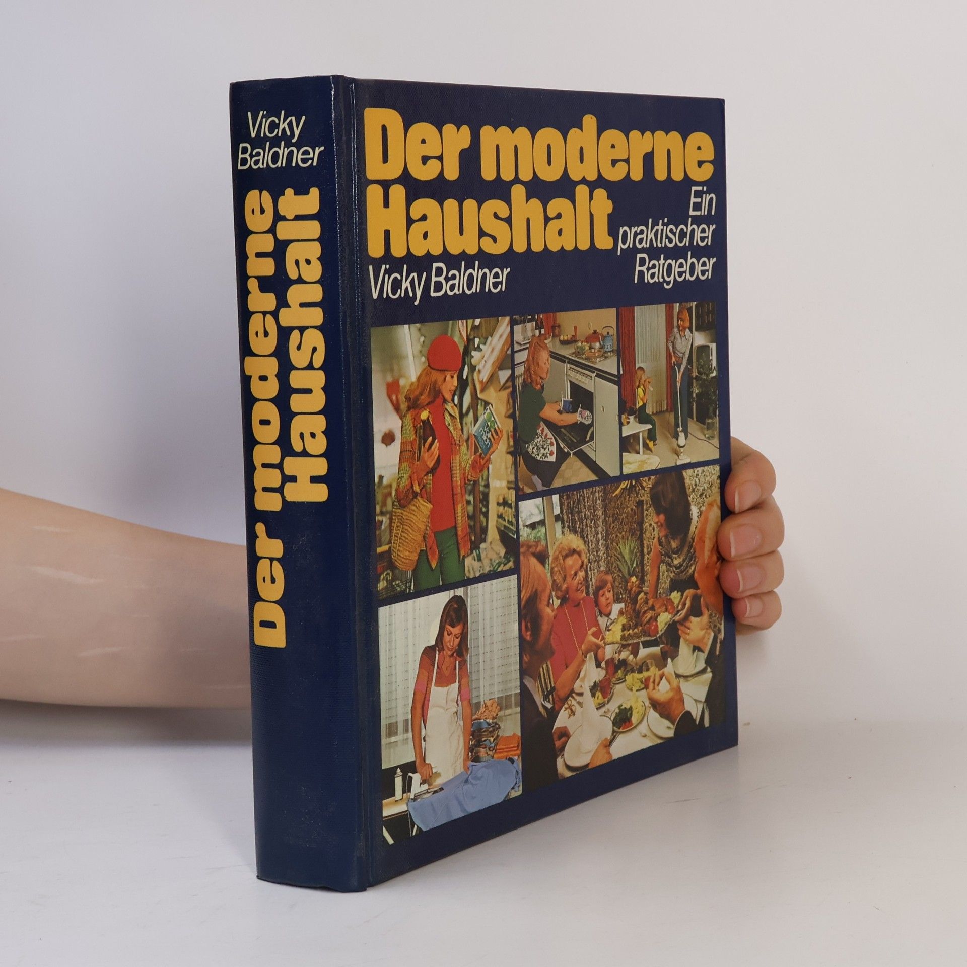 Vicky Baldner Der moderne Haushalt. Ein praktischer Ratgeber