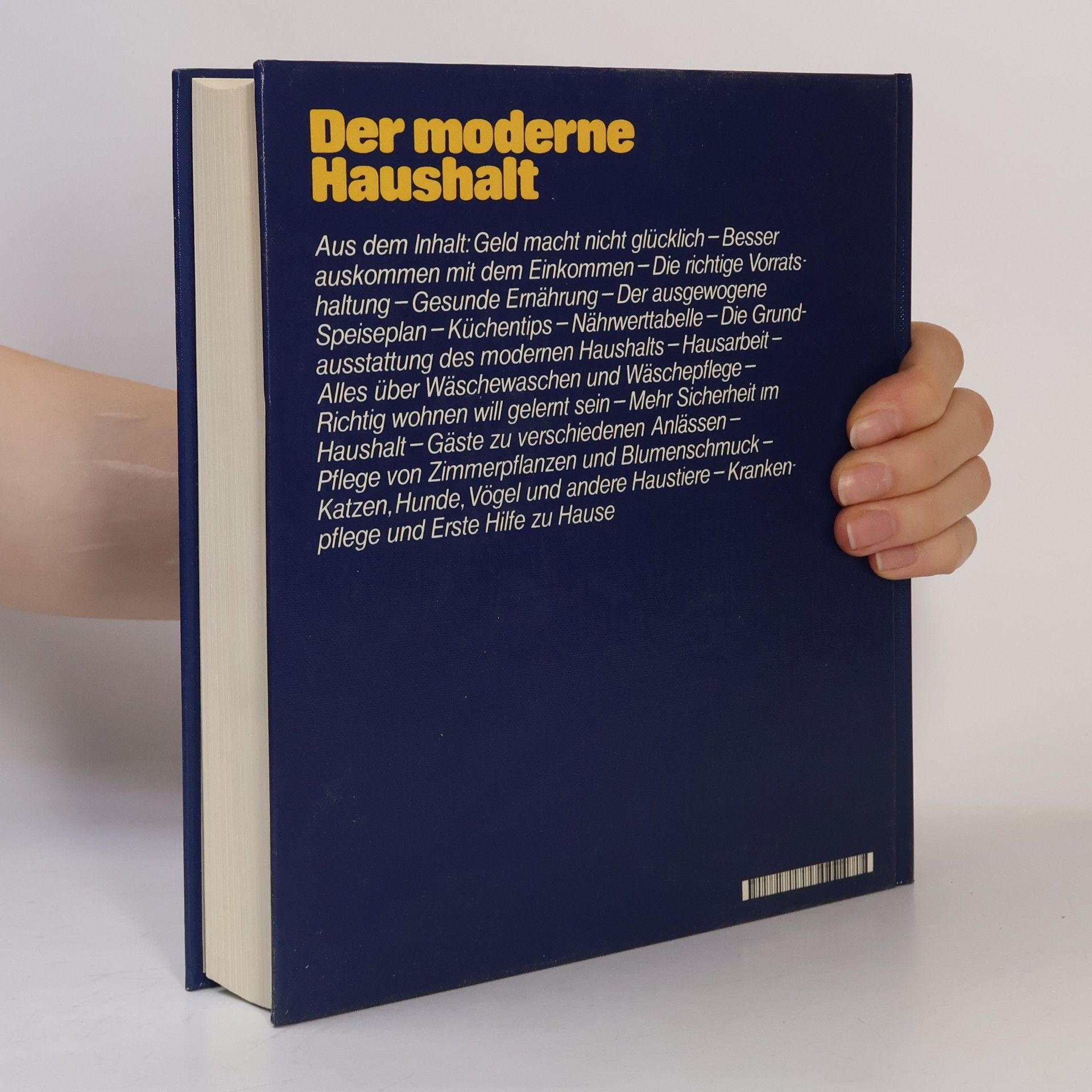 Vicky Baldner Der moderne Haushalt. Ein praktischer Ratgeber
