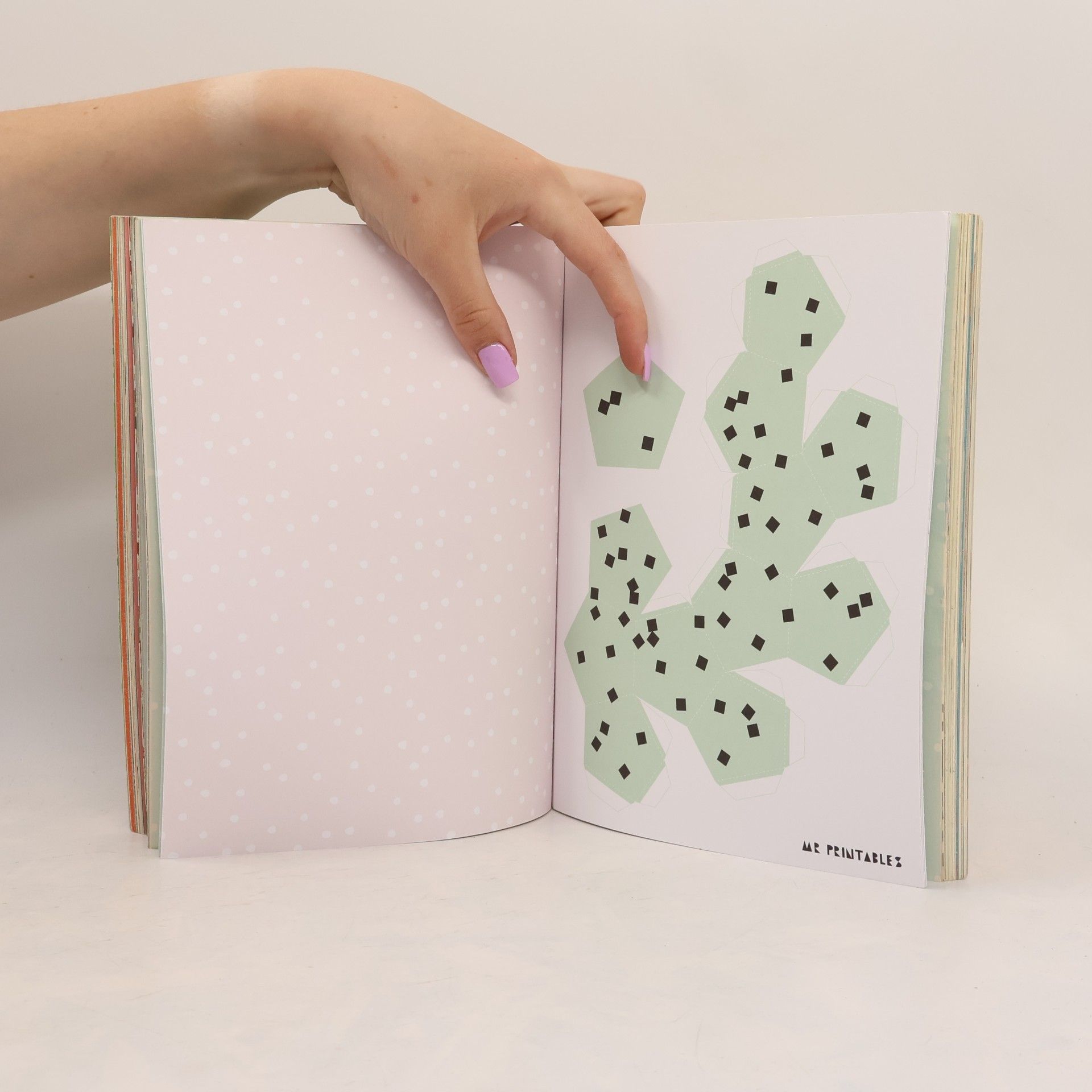 Various authors Flow Kochbuch