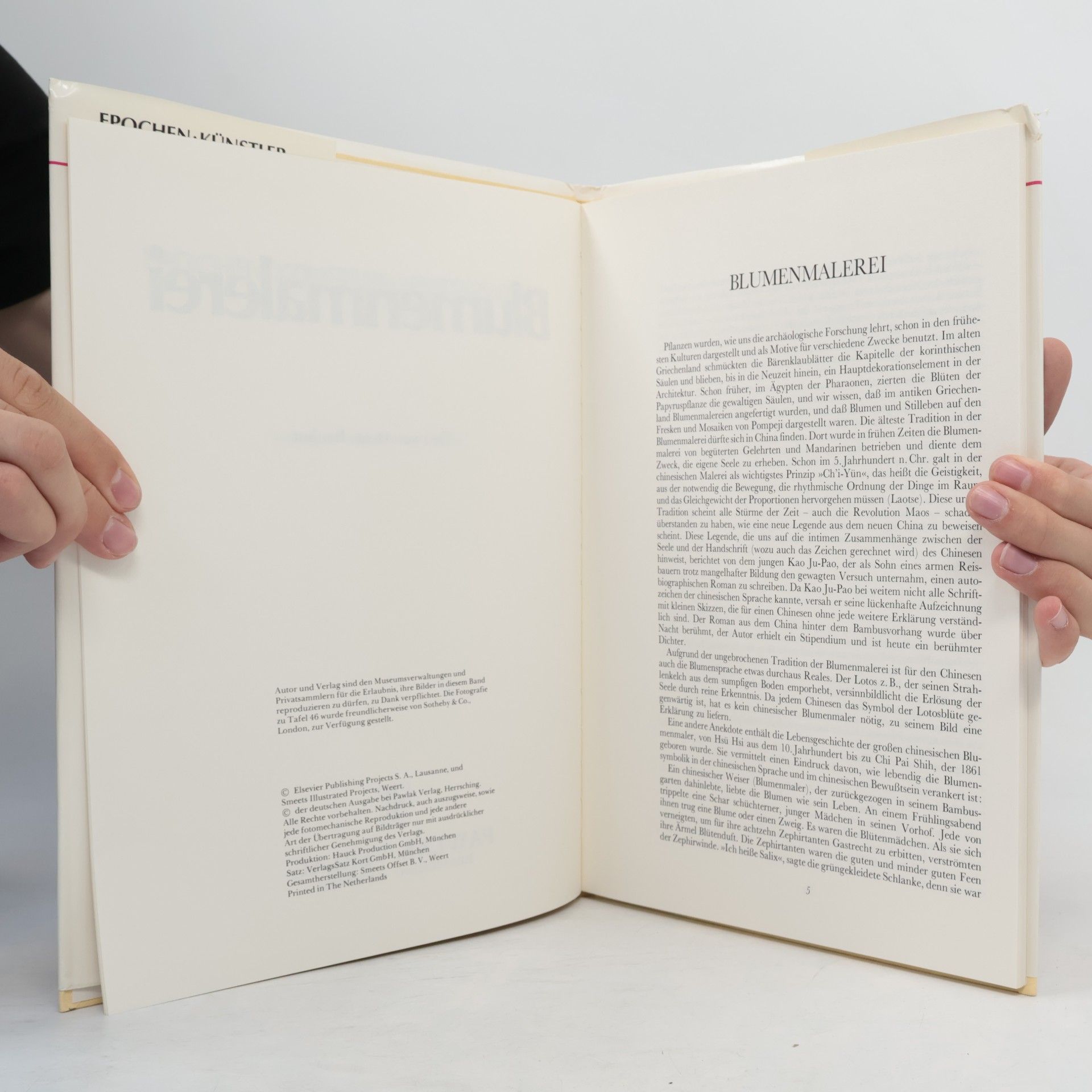 Various authors Blumenmalerei mit 48 Farbtafeln