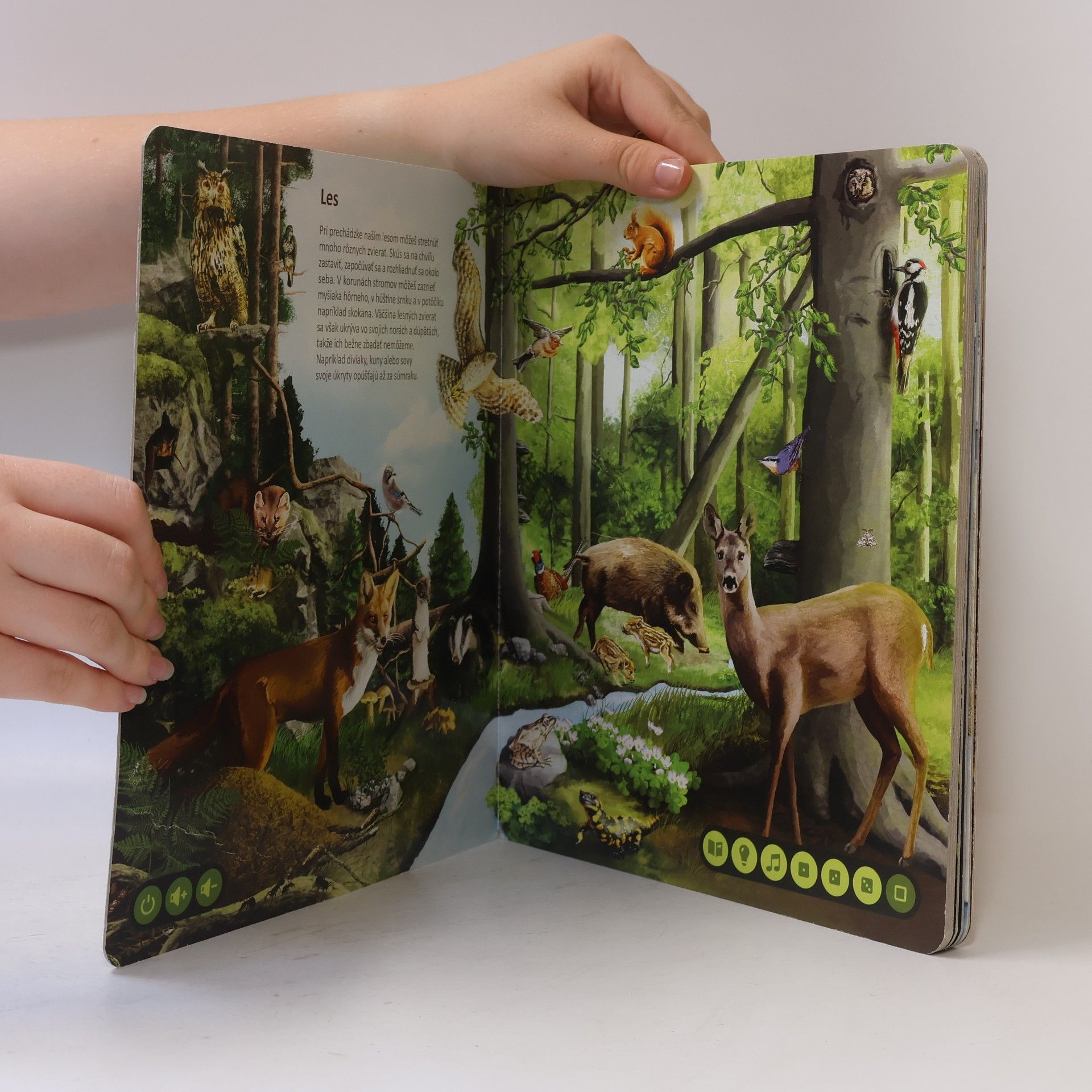 Various authors Svet zvierat : interaktívna hovoriaca knižka
