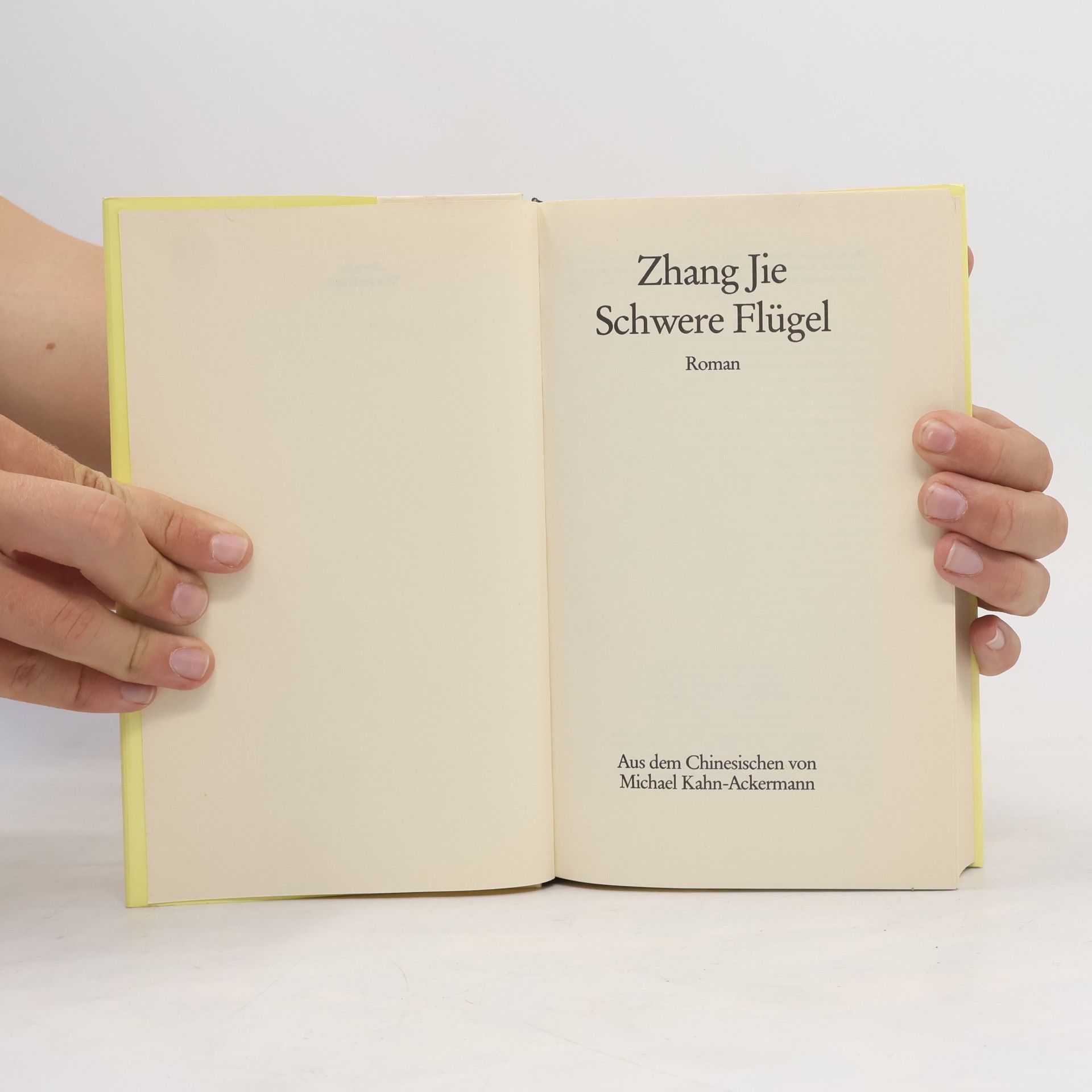 Zhang Jie Schwere Flügel