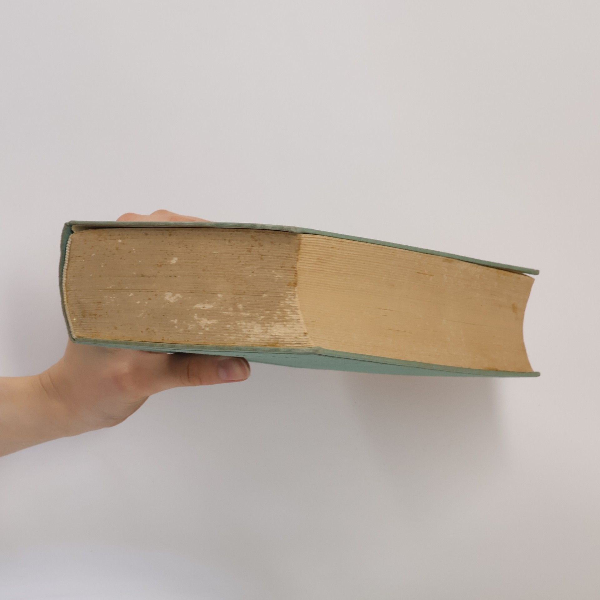 Ernst Boldt Die Philosophie der Liebe 1