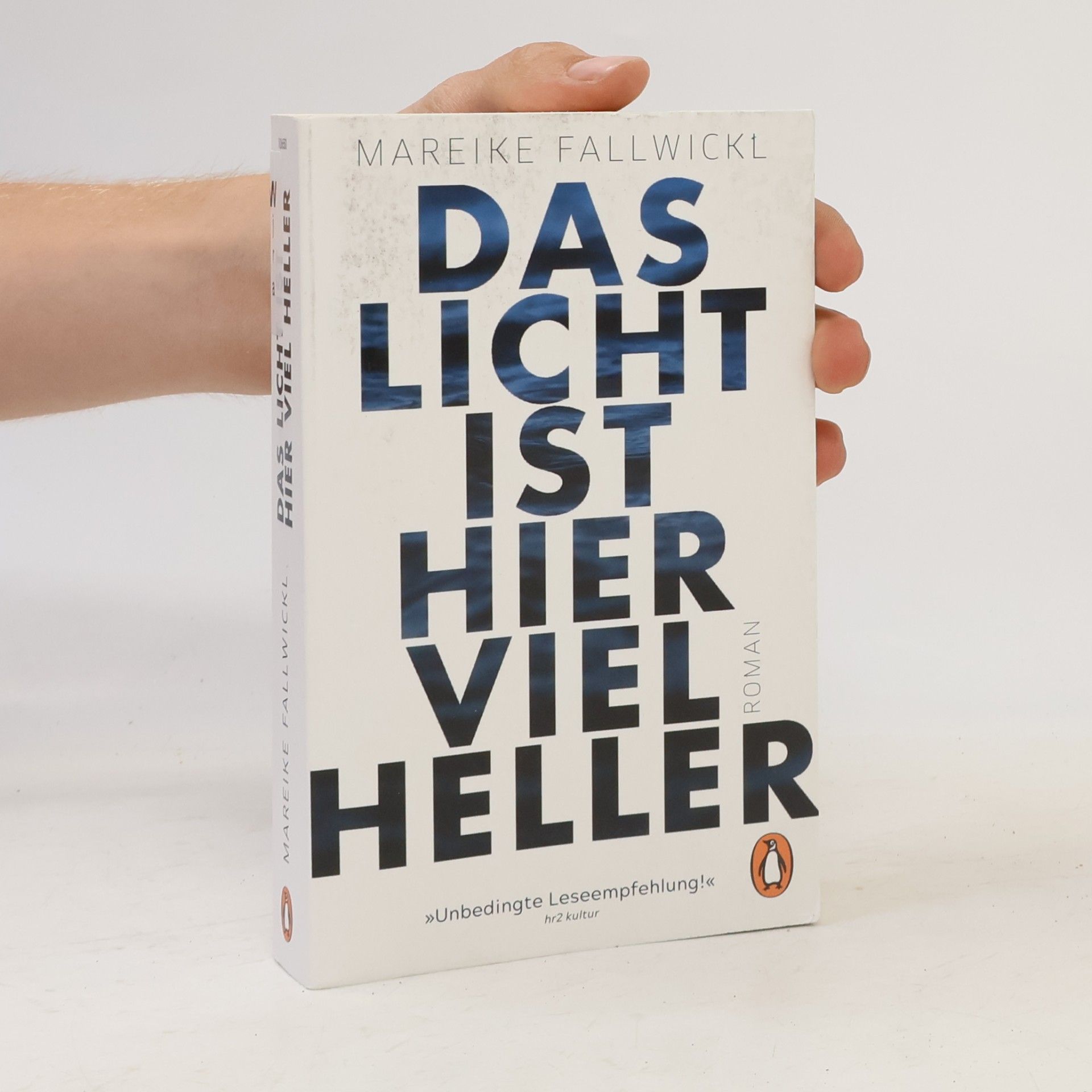 Mareike Fallwickl Das licht ist hier viel heller