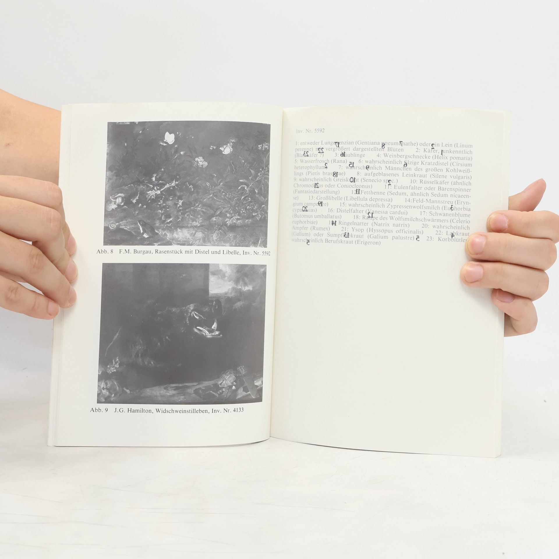 Autorenkollektiv Mitteilungen der Österreichischen Galerie