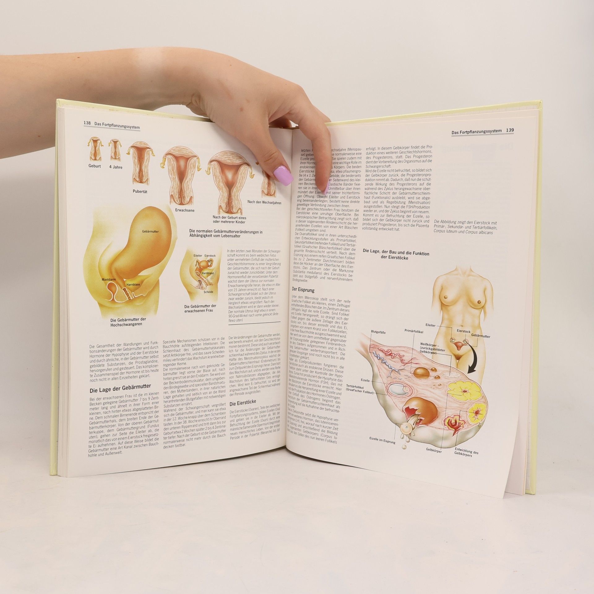 Joachim Lauen Der grosse Atlas der Anatomie