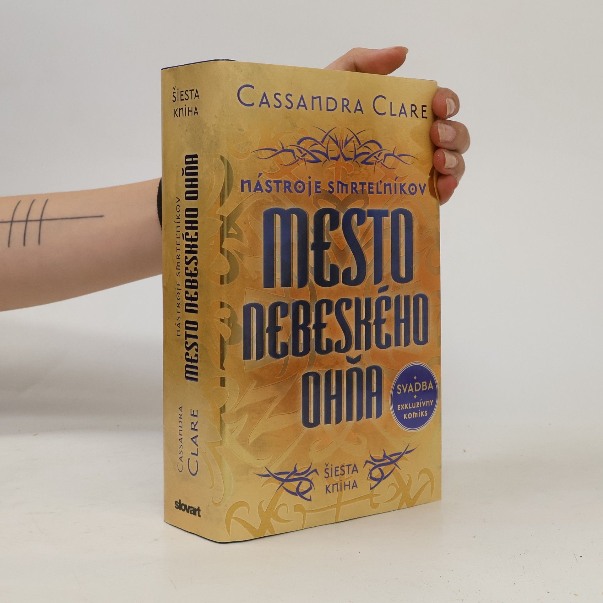 Cassandra Clare Mesto nebeského ohňa