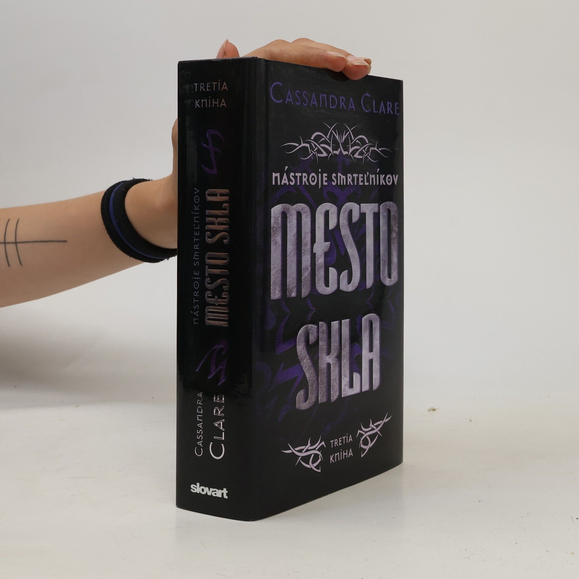 Cassandra Clare Mesto skla