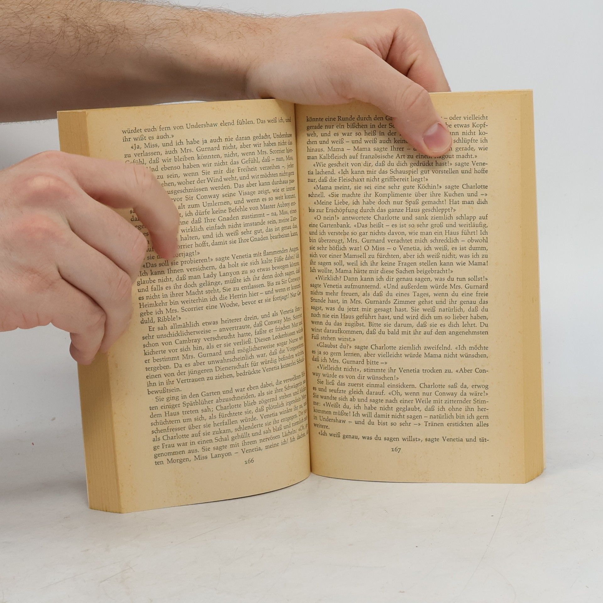 Georgette Heyer Venetia und der Wüstling