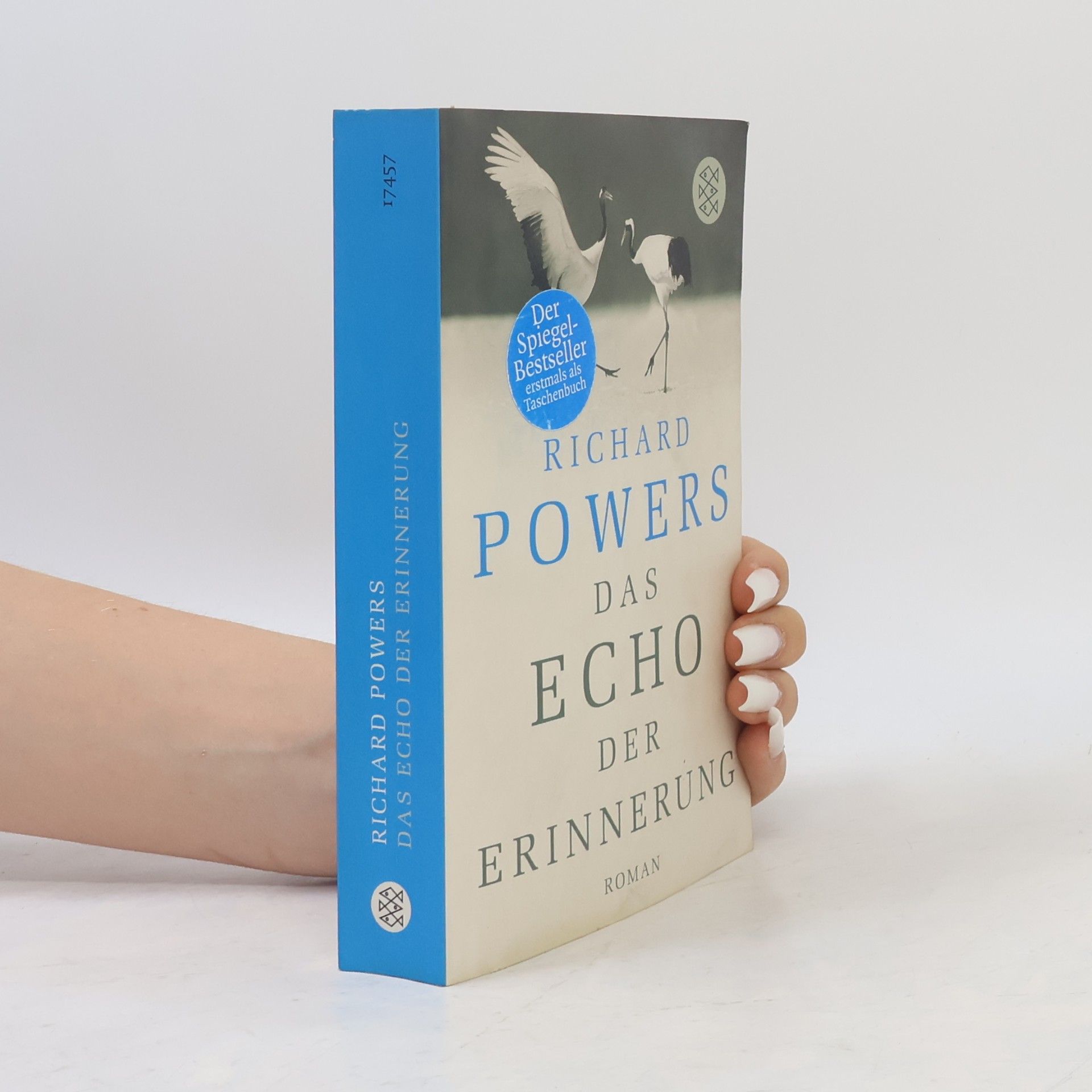 Richard Powers Das Echo der Erinnerung