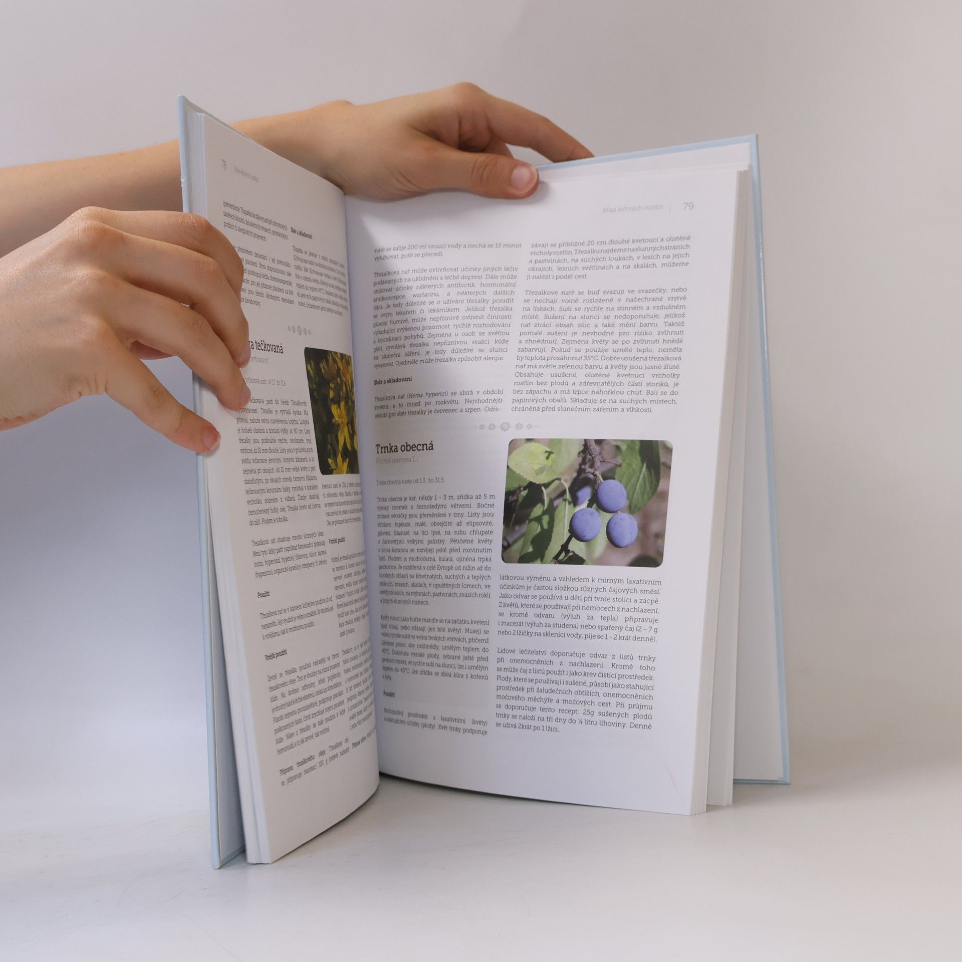 Autorenkollektiv Bylinky a recepty našich babiček