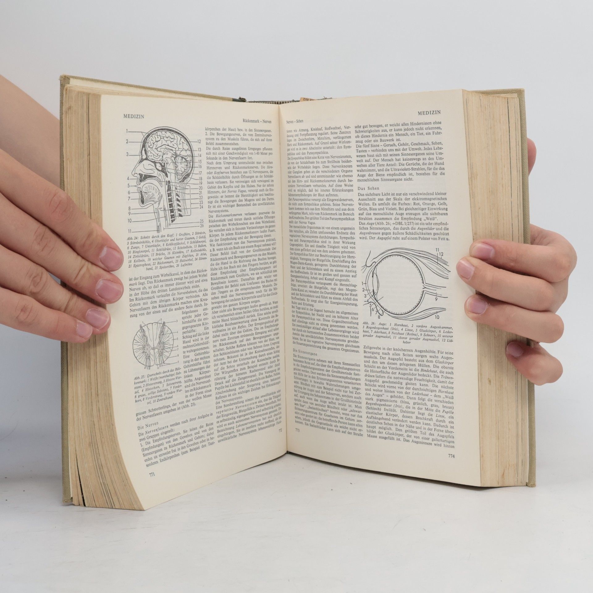 AA.VV. Das Bertelsmann Bildungsbuch 5