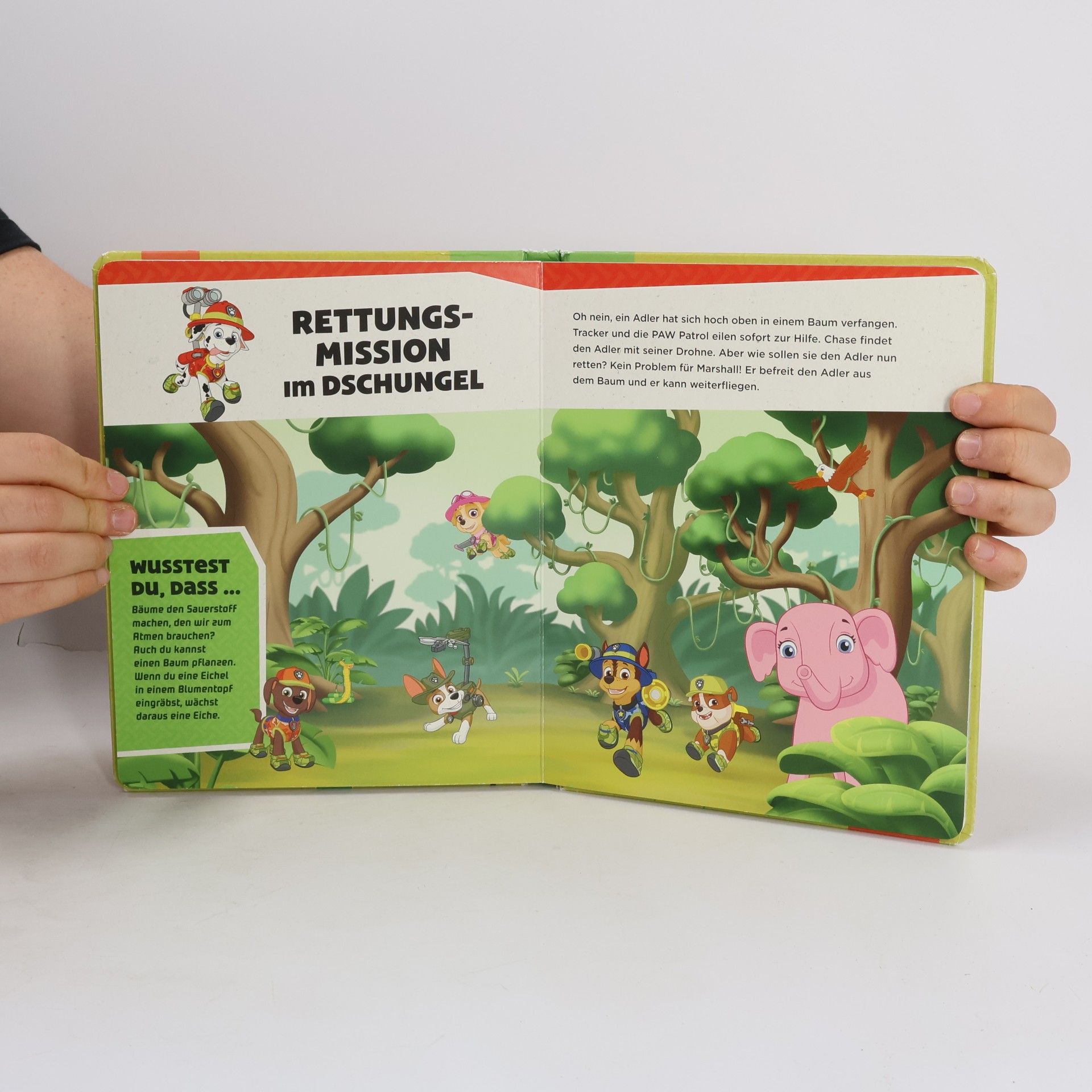 Luise Holthausen PAW Patrol - Umwelteinsatz in Adventure Bay