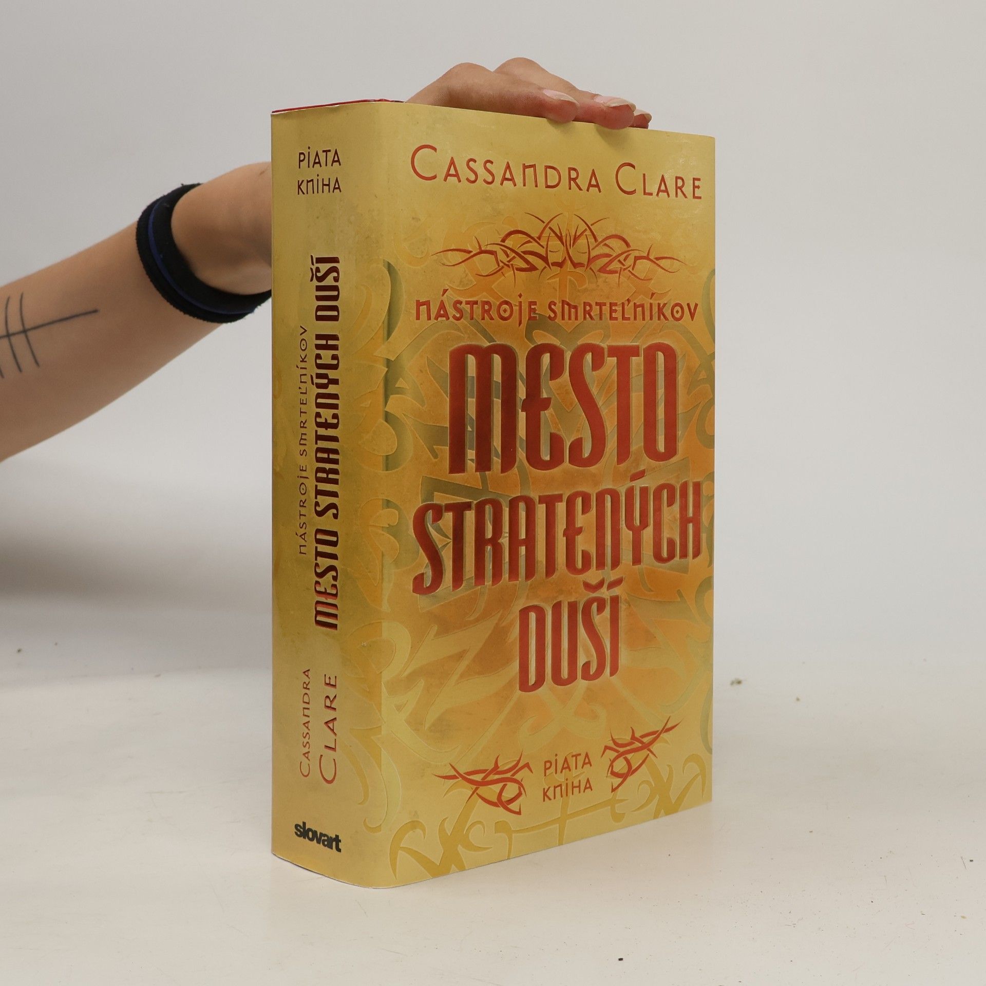 Cassandra Clare Mesto stratených duší