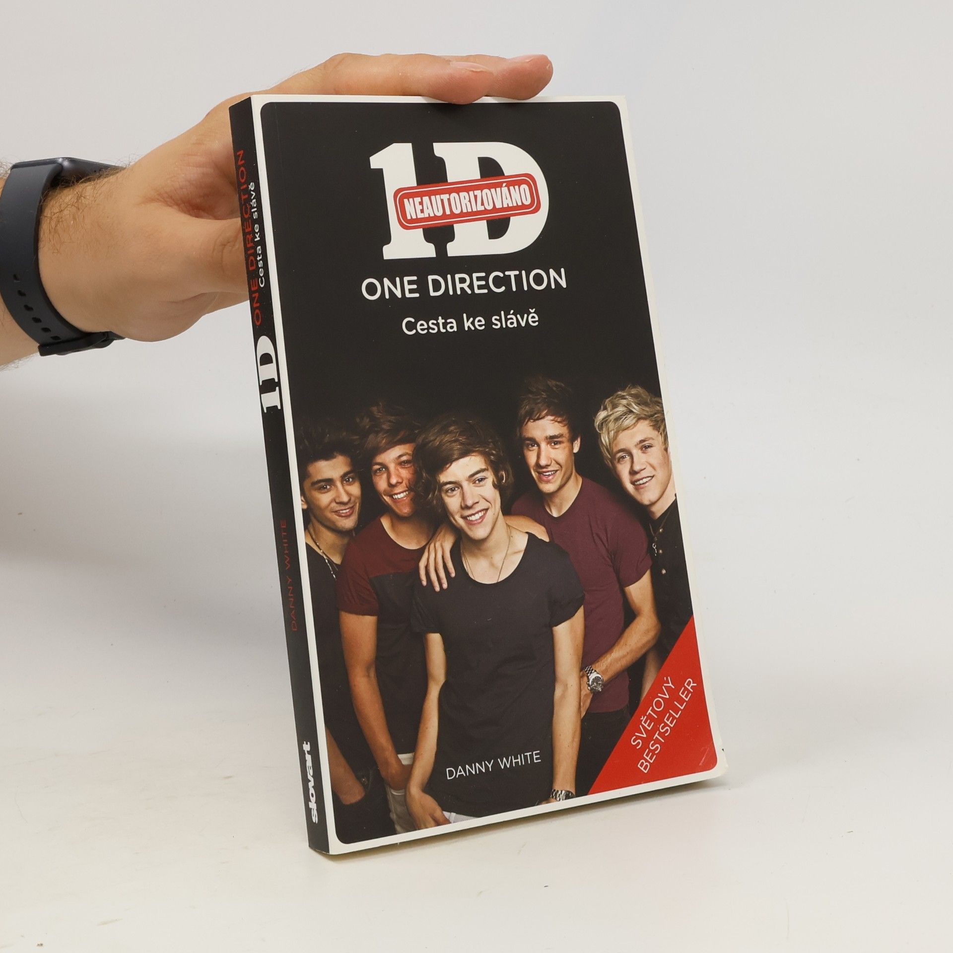 Danny White 1D - One Direction: Cesta ke slávě
