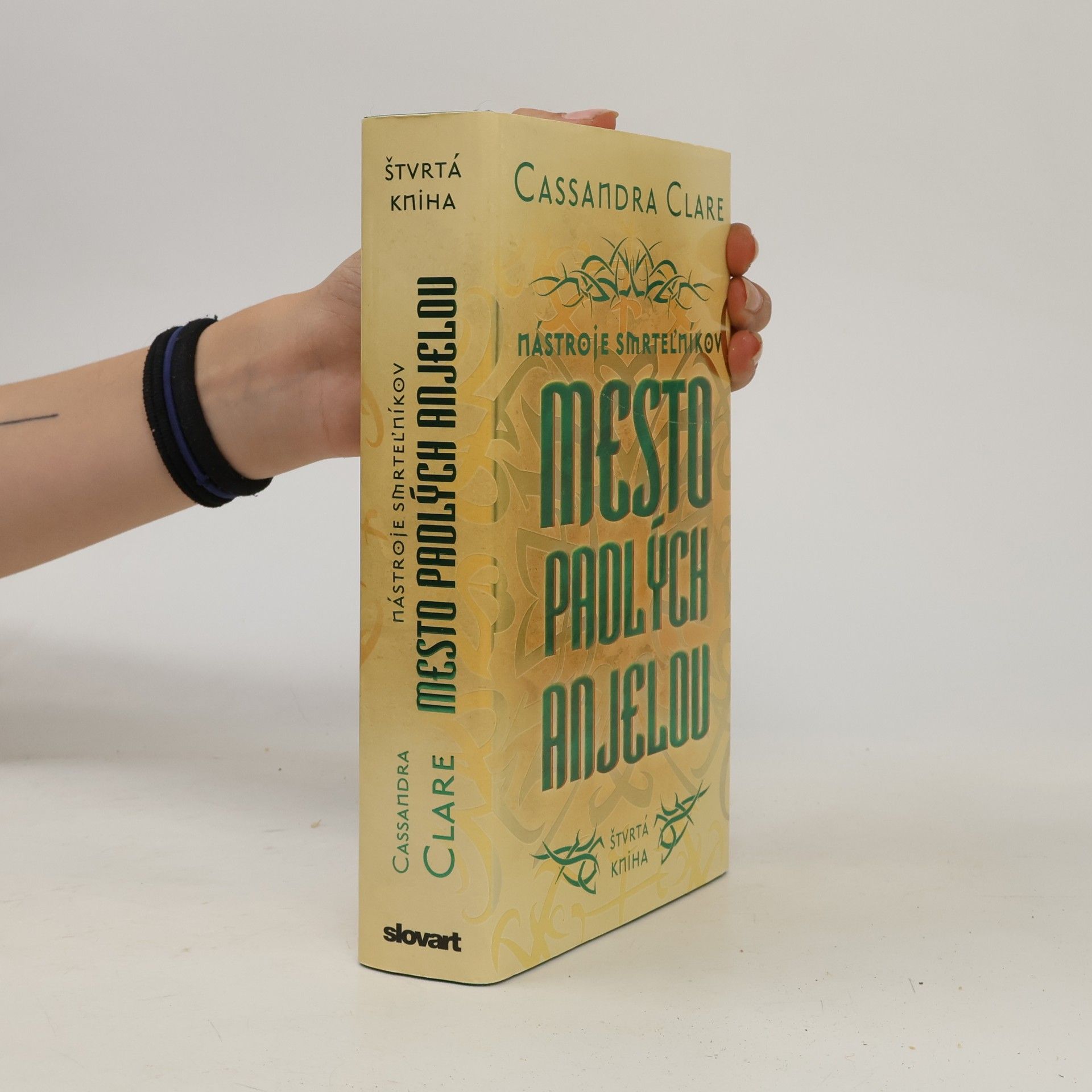 Cassandra Clare Mesto padlých anjelov