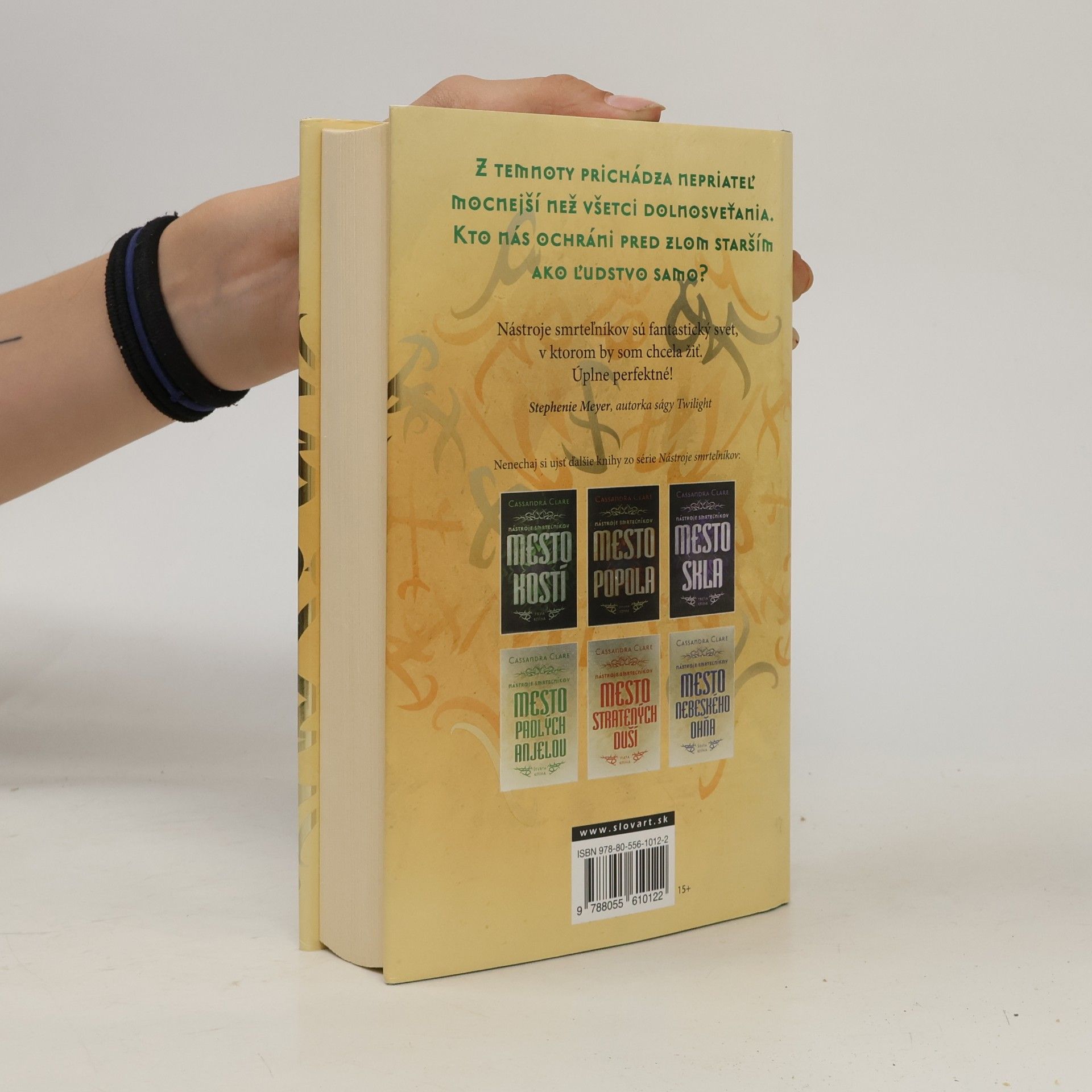 Cassandra Clare Mesto padlých anjelov