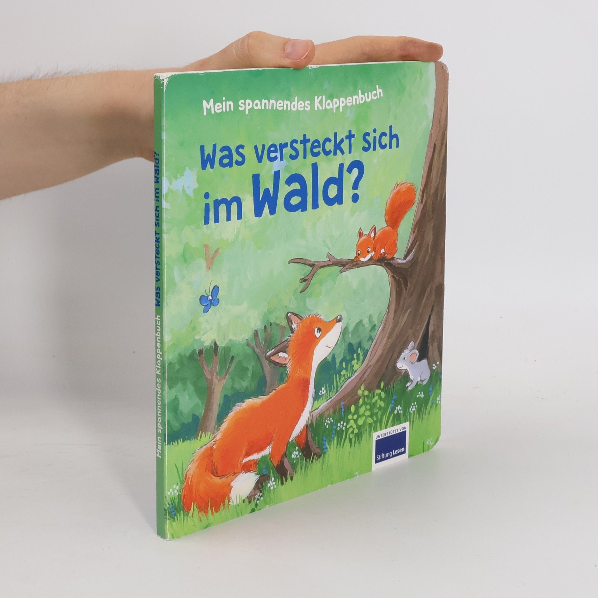 Antje Flad Mein Filzklappenbuch - Was versteckt sich im Wald?