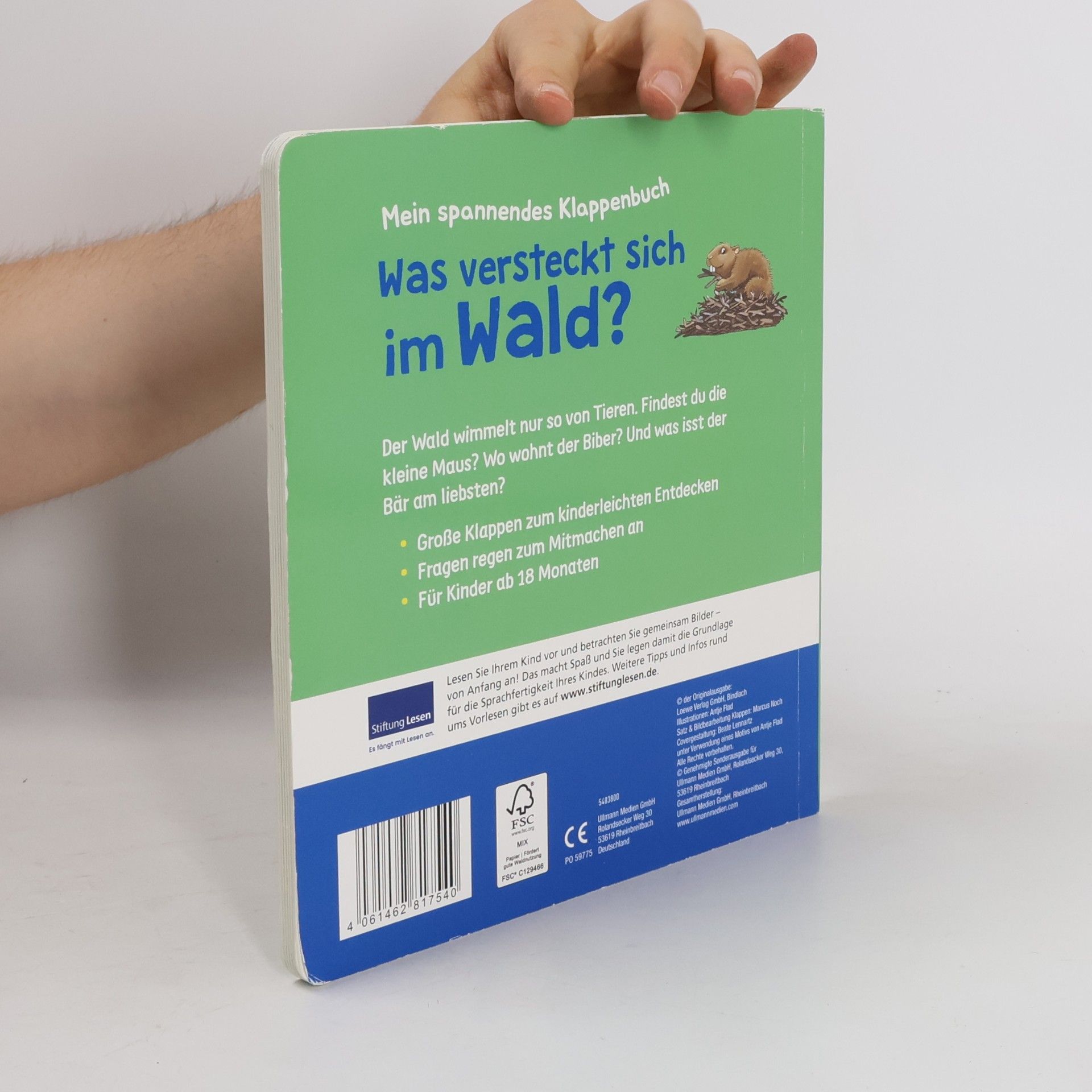 Antje Flad Mein Filzklappenbuch - Was versteckt sich im Wald?