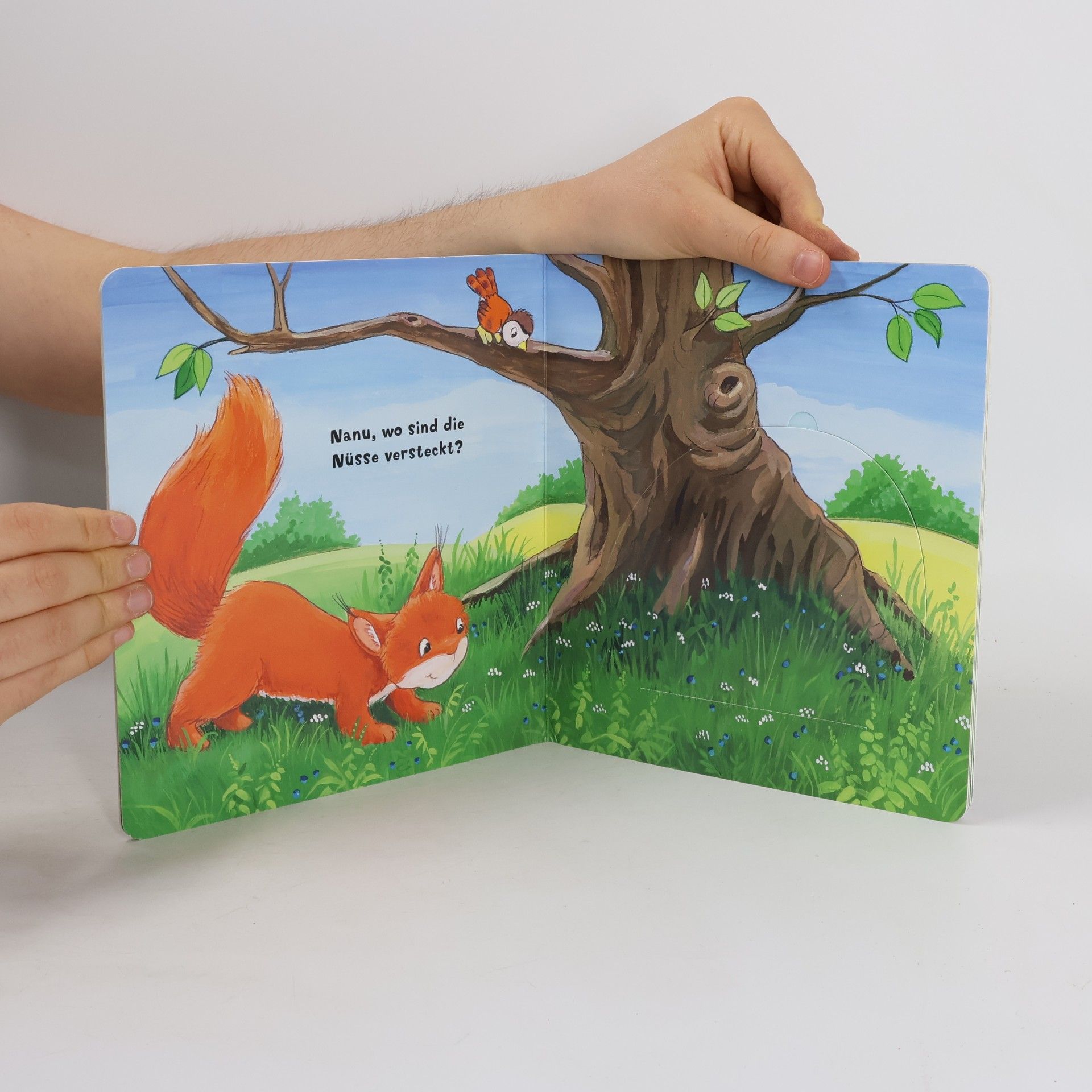 Antje Flad Mein Filzklappenbuch - Was versteckt sich im Wald?