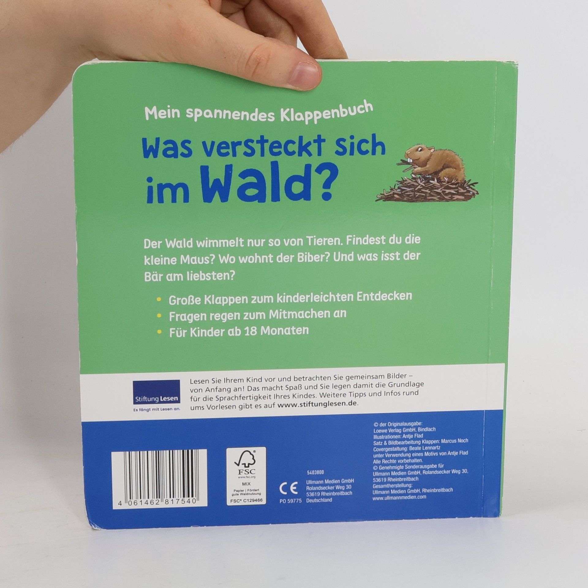 Antje Flad Mein Filzklappenbuch - Was versteckt sich im Wald?