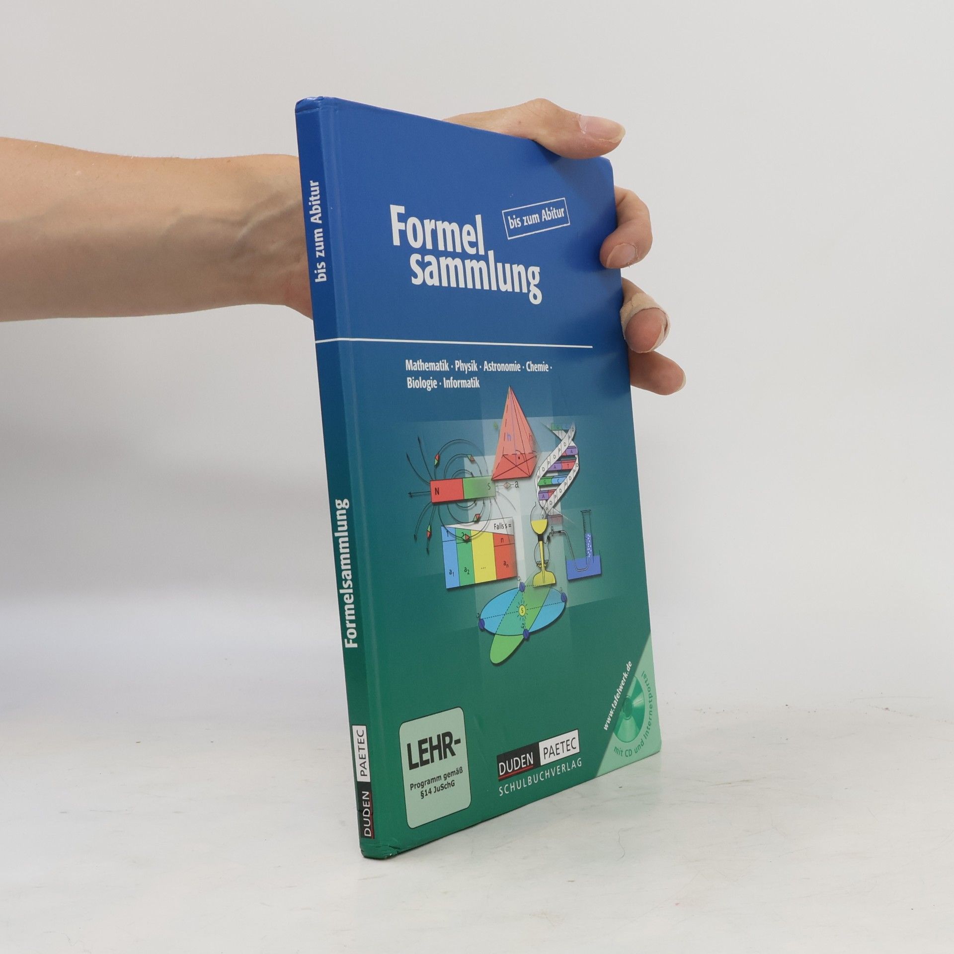 Kolektiv autorů Formelsammlung