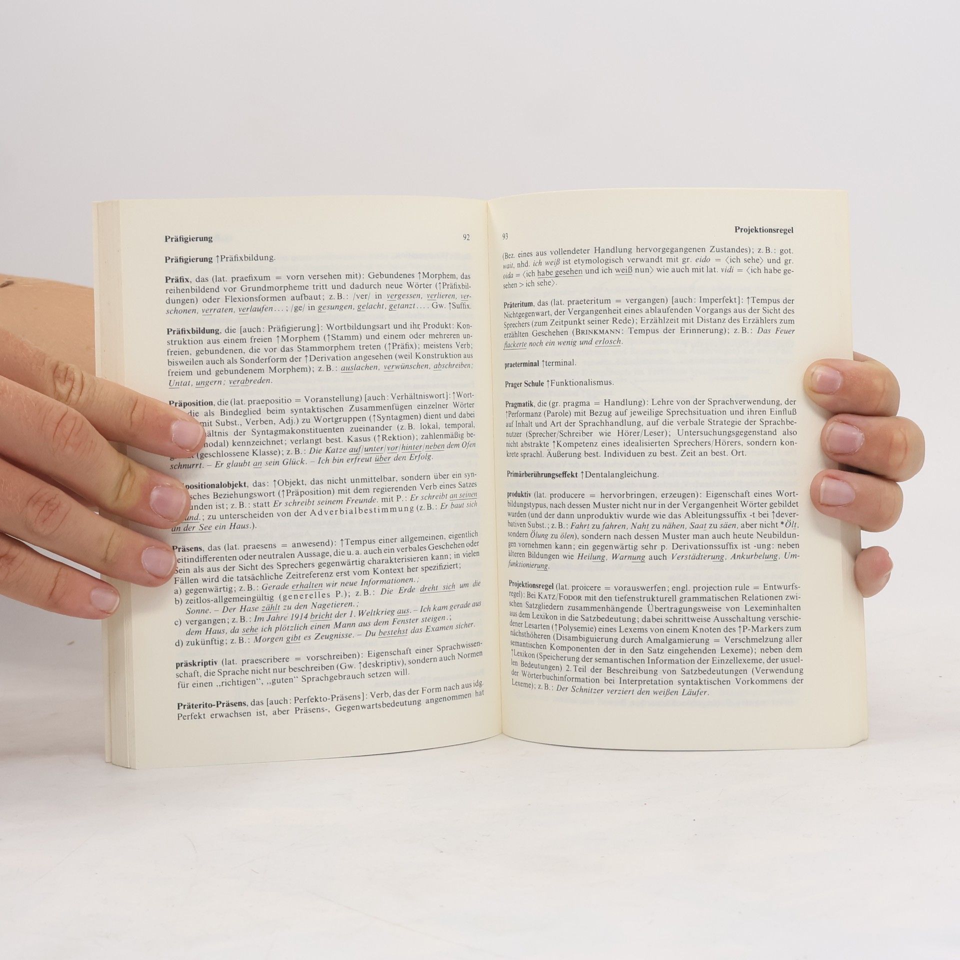 Winfried Ulrich Linguistische Grundbegriffe