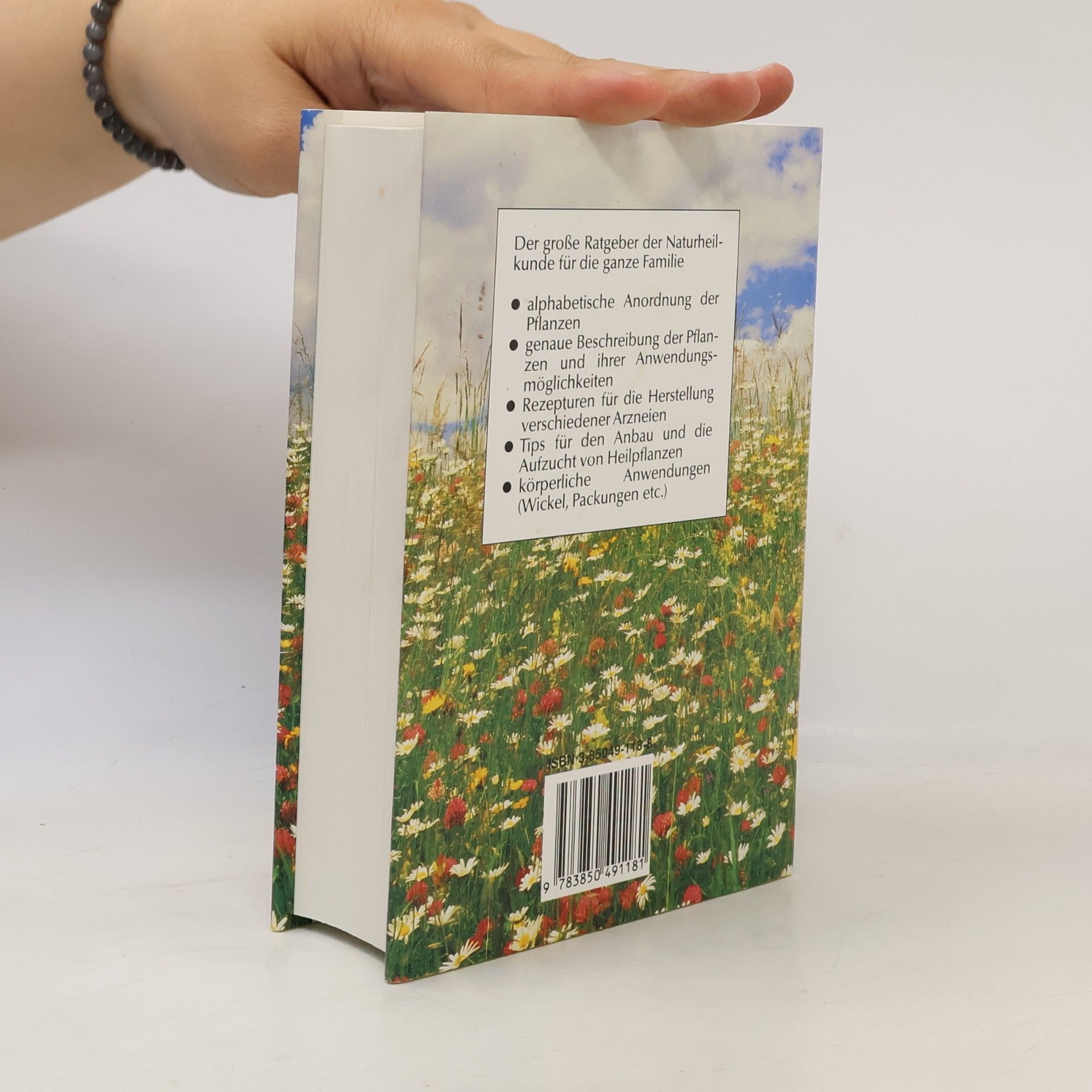 Kolektiv autorů Hausrezepte aus der Naturapotheke