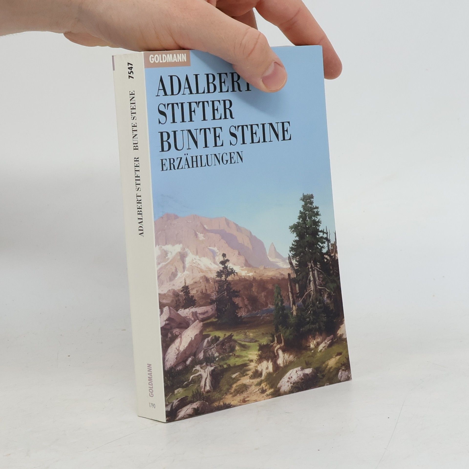 Adalbert Stifter Bunte Steine