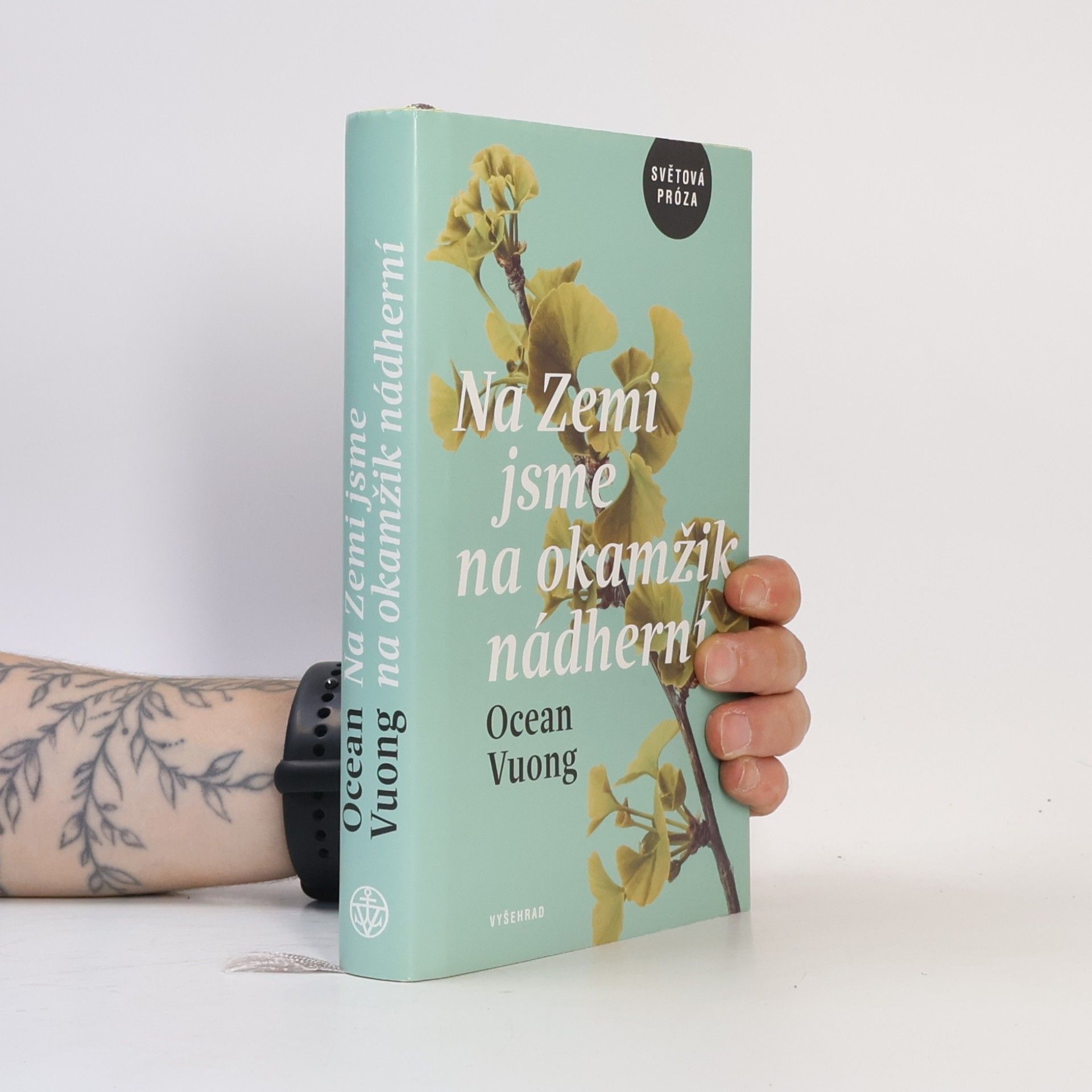 Ocean Vuong Na Zemi jsme na okamžik nádherní