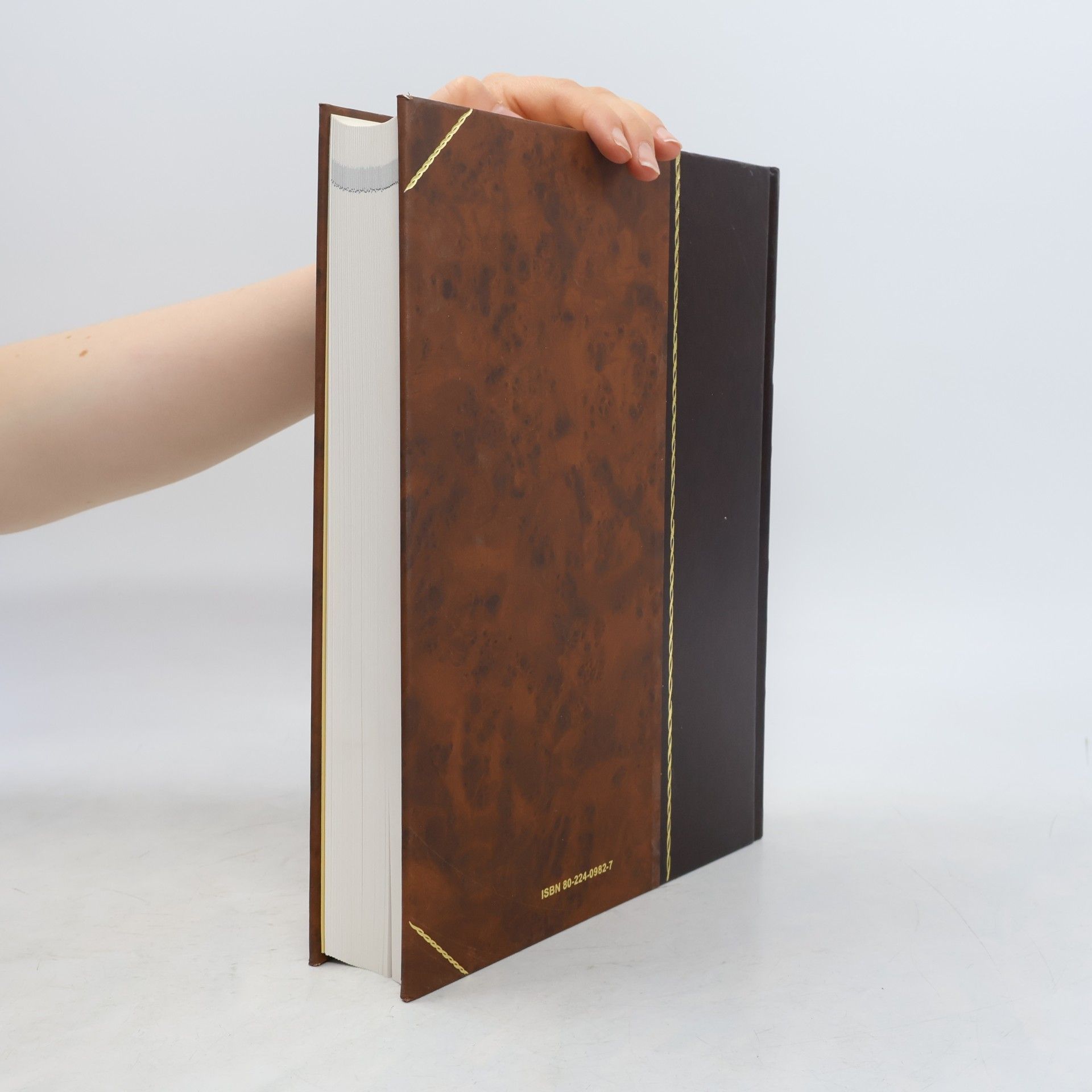 Autorenkollektiv Encyclopaedia Beliana 5