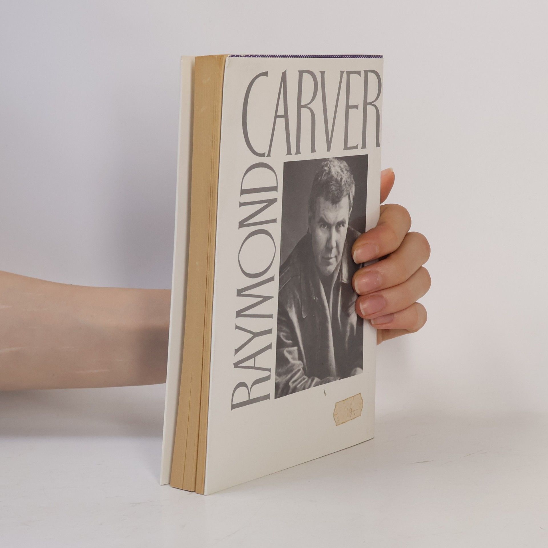 Raymond Carver Katedrála (a jiné povídky)