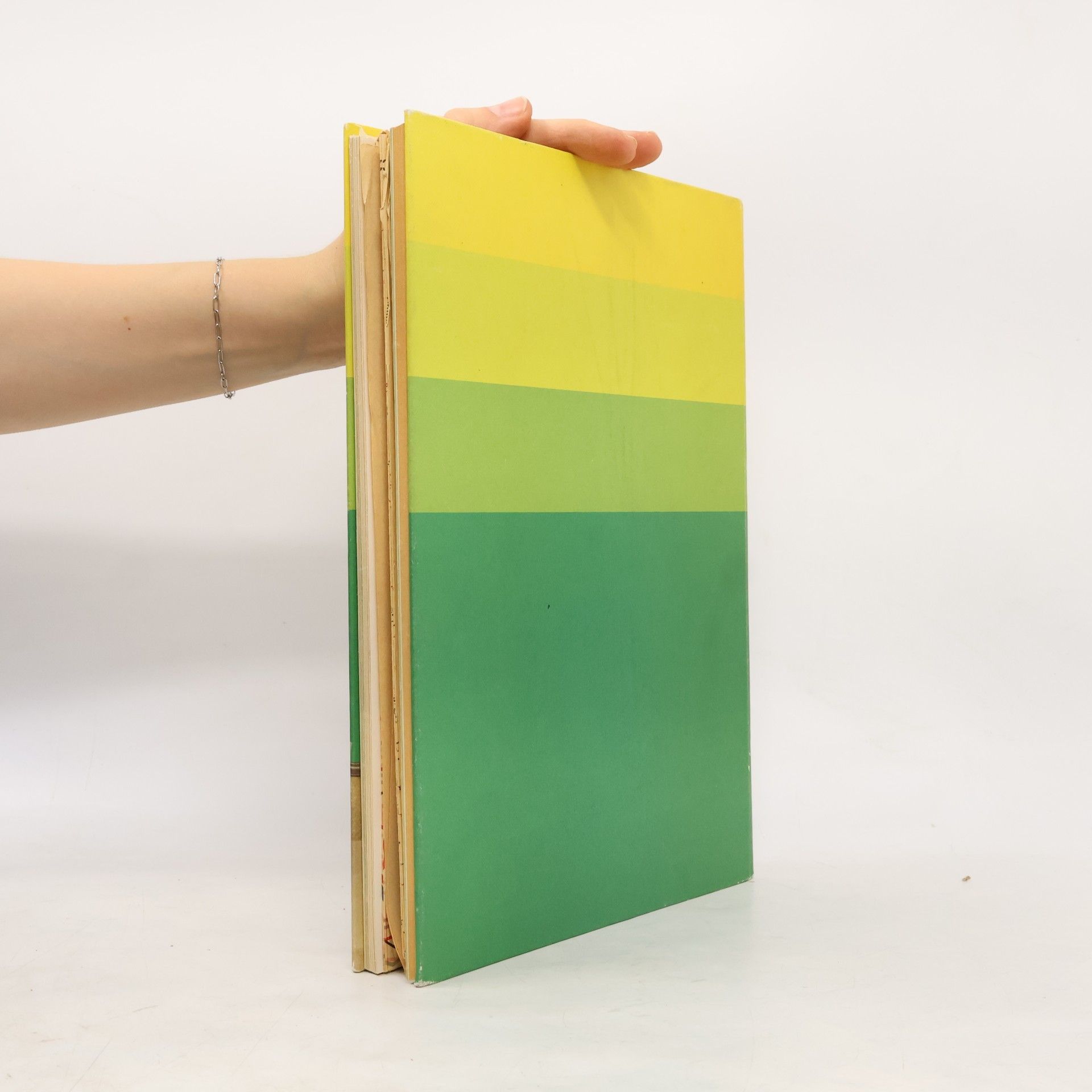 Margret Woltin Grosses Bastelbuch