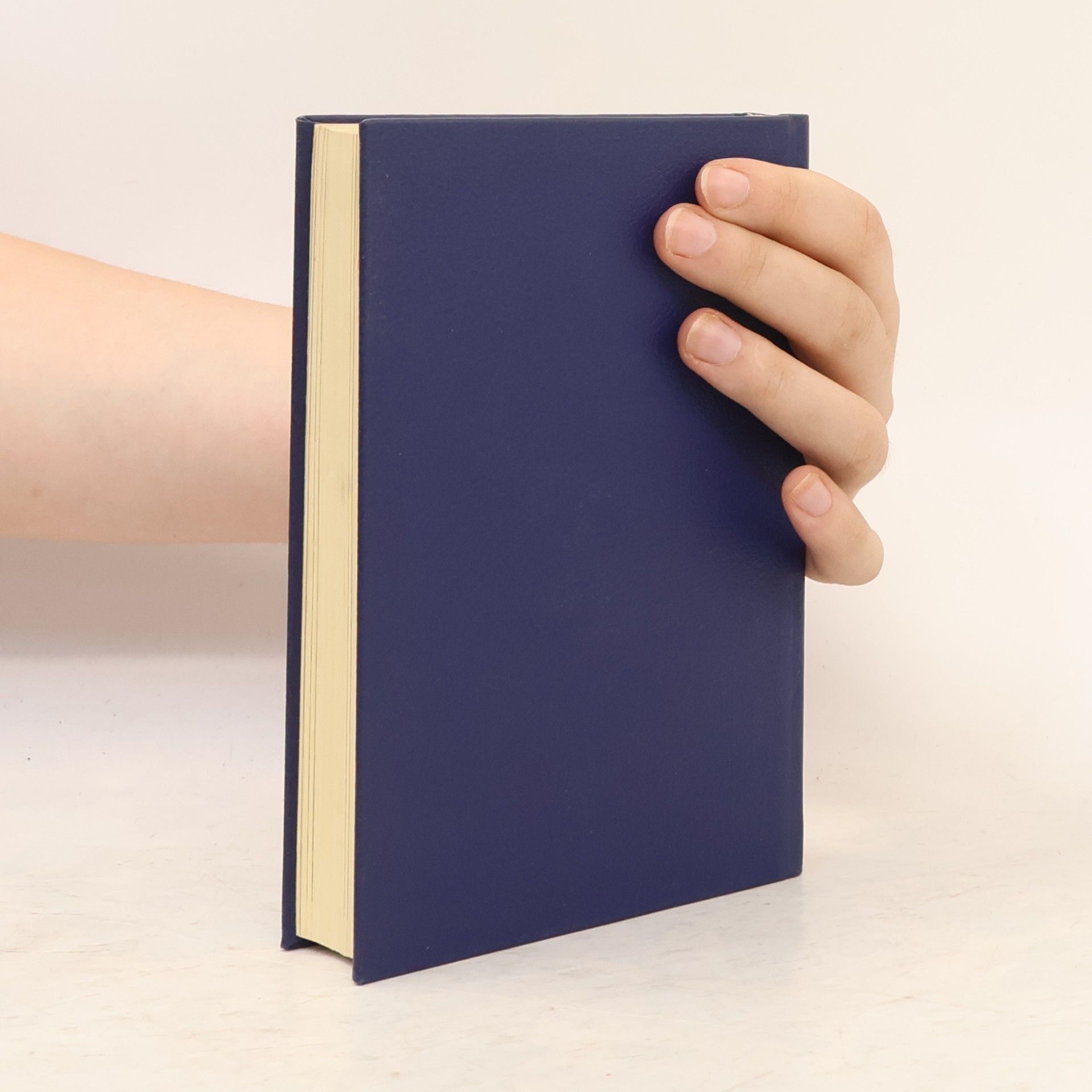 Autorenkollektiv Das Buch Mormon