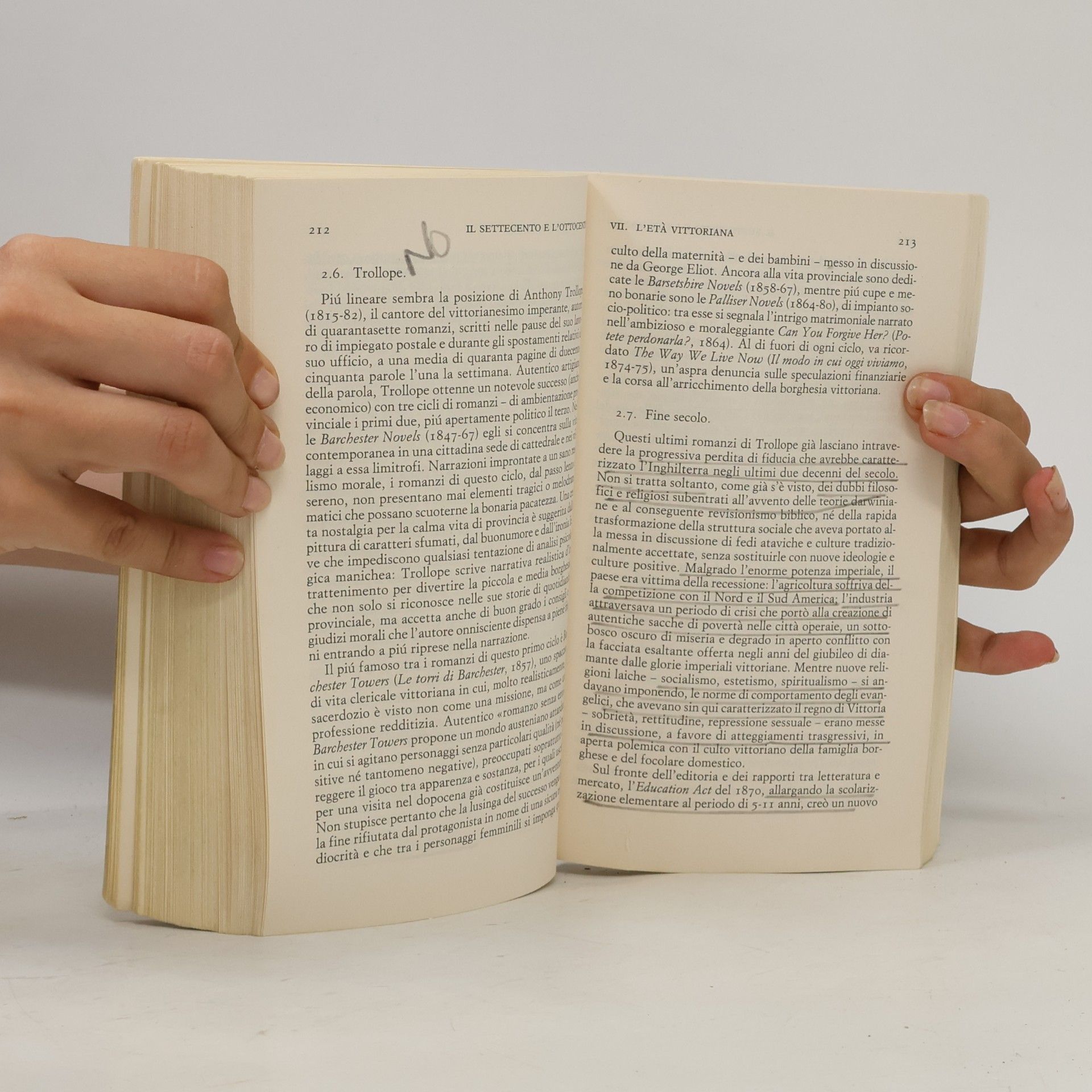 Paolo Bertinetti Piccola Biblioteca Einaudi - 260: Breve storia della letteratura inglese