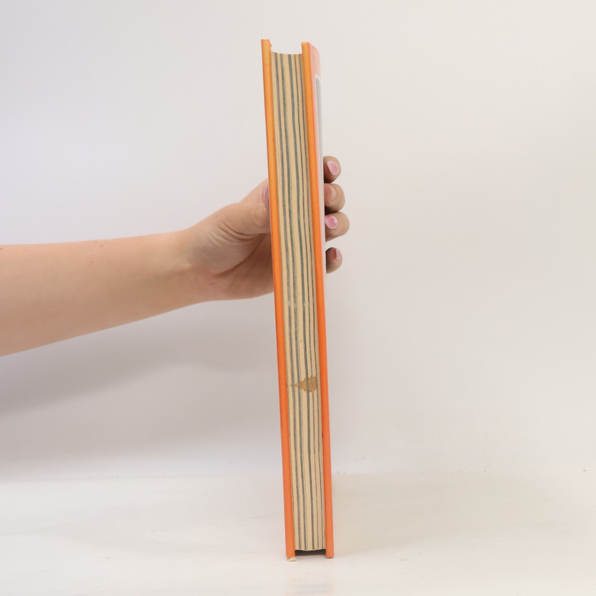 Jozef Sládek Aby prežili rok 2000