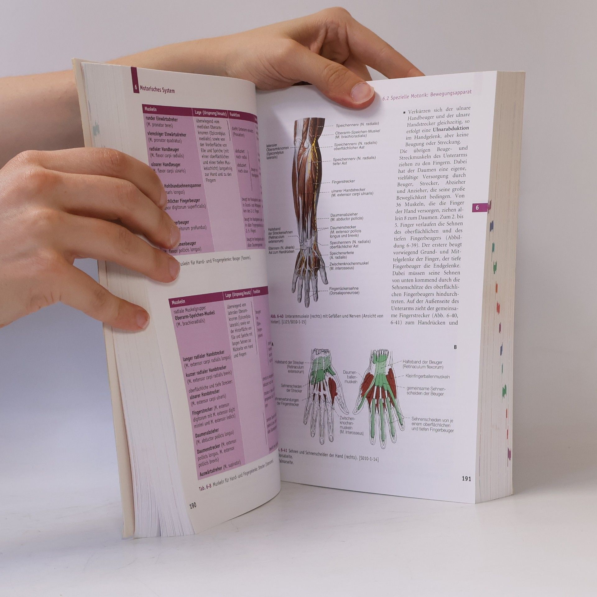 Erwin-Josef Speckmann Handbuch Anatomie