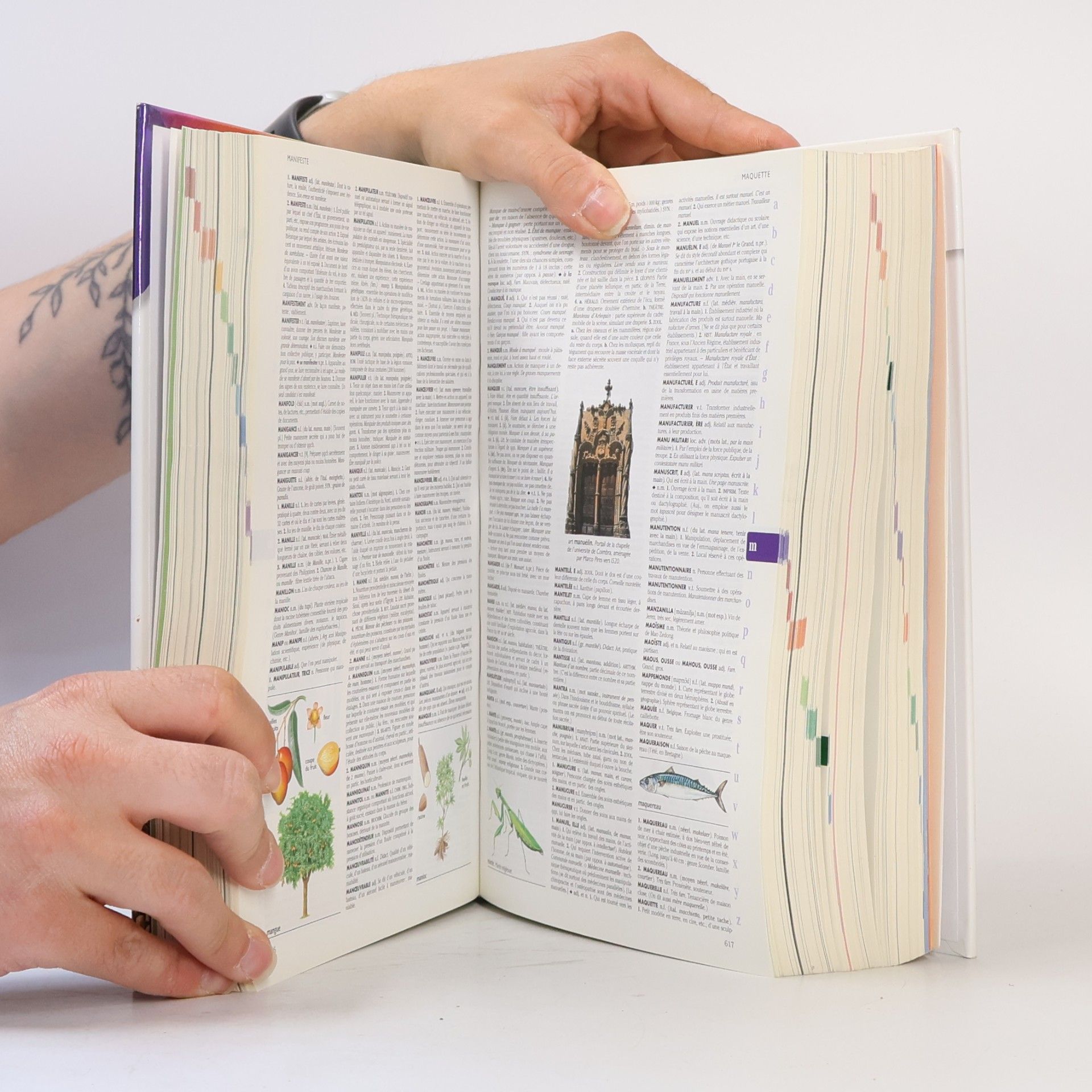 Various authors Le petit Larousse illustré