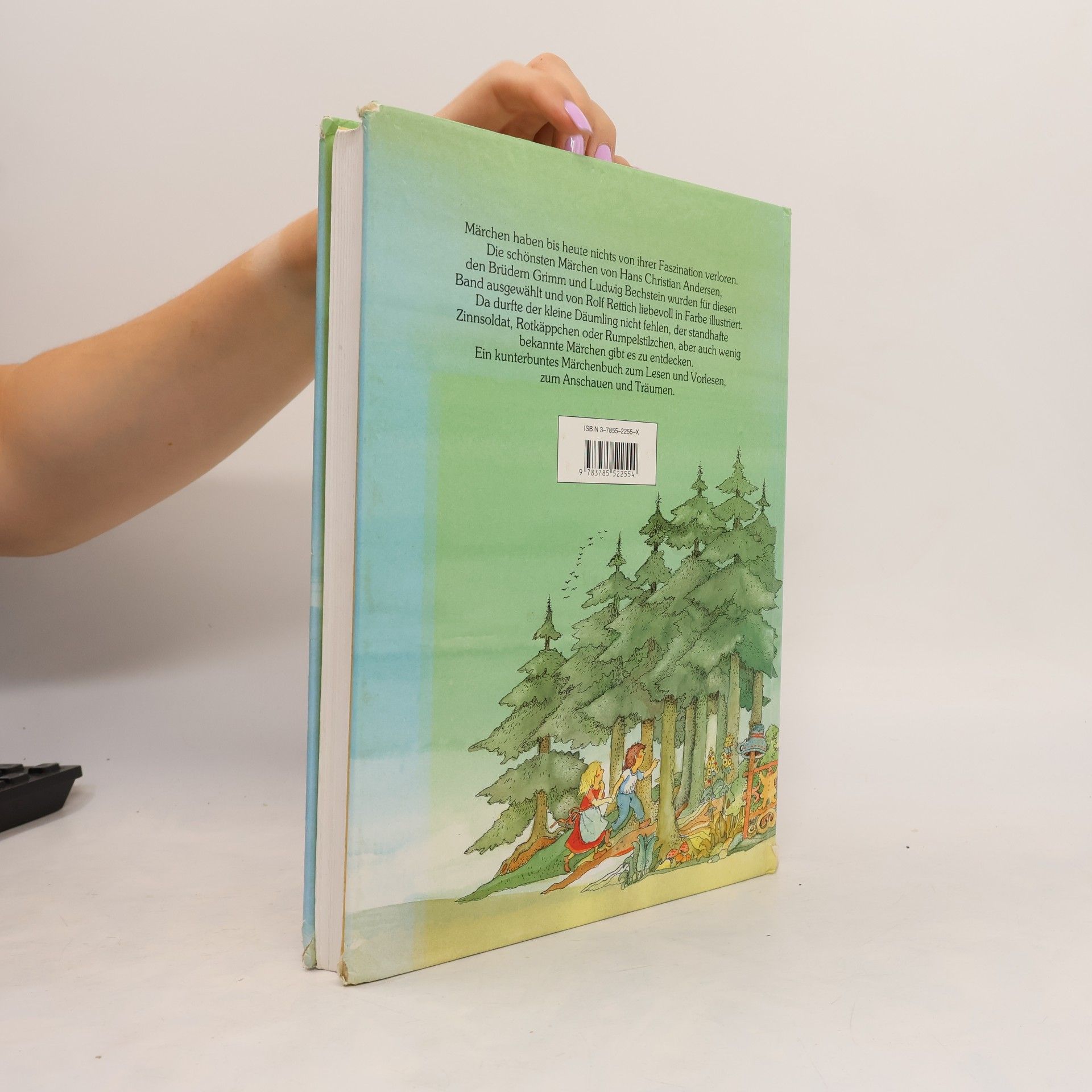 Autores varios Das große bunte Märchenbuch