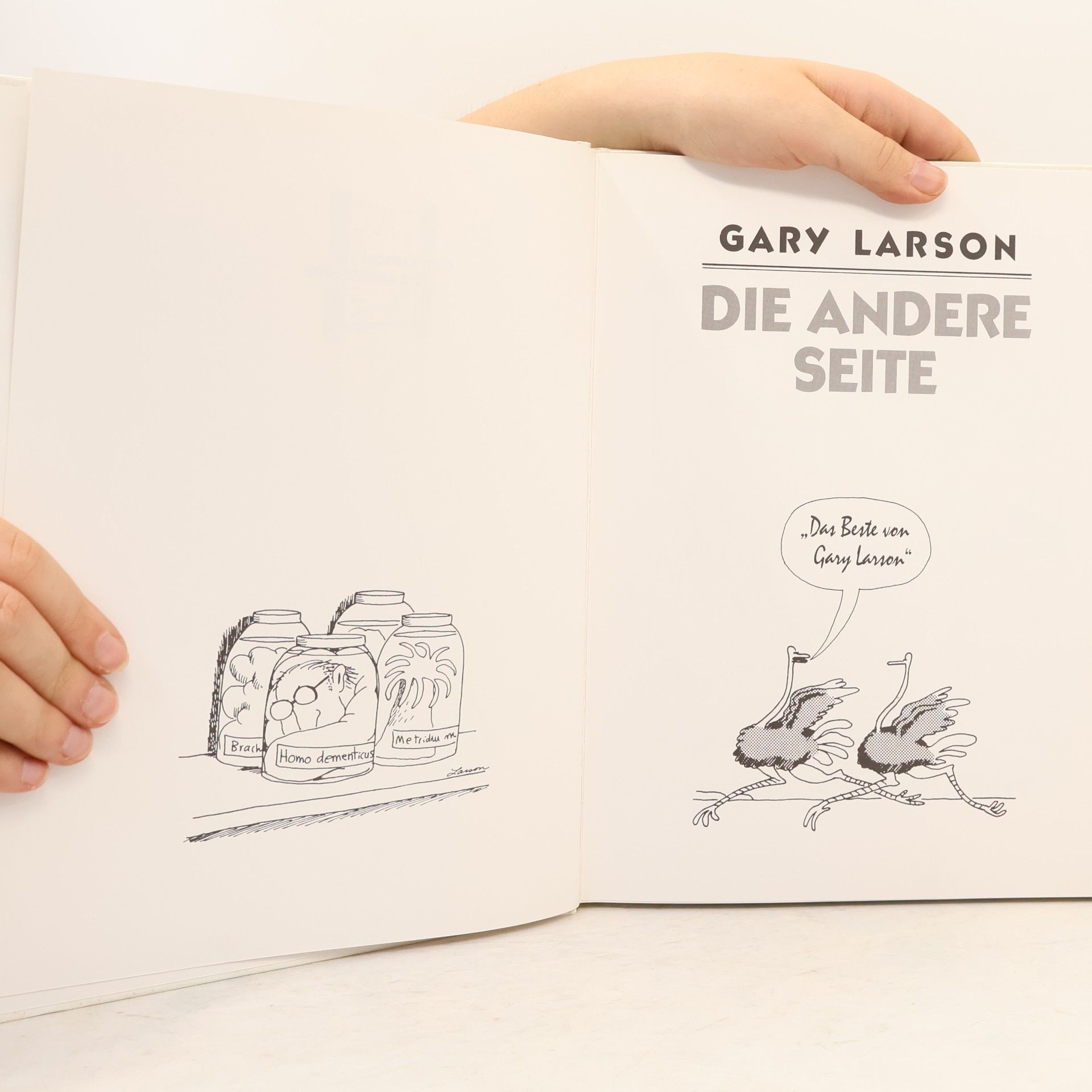 Gary Larson Die andere Seite