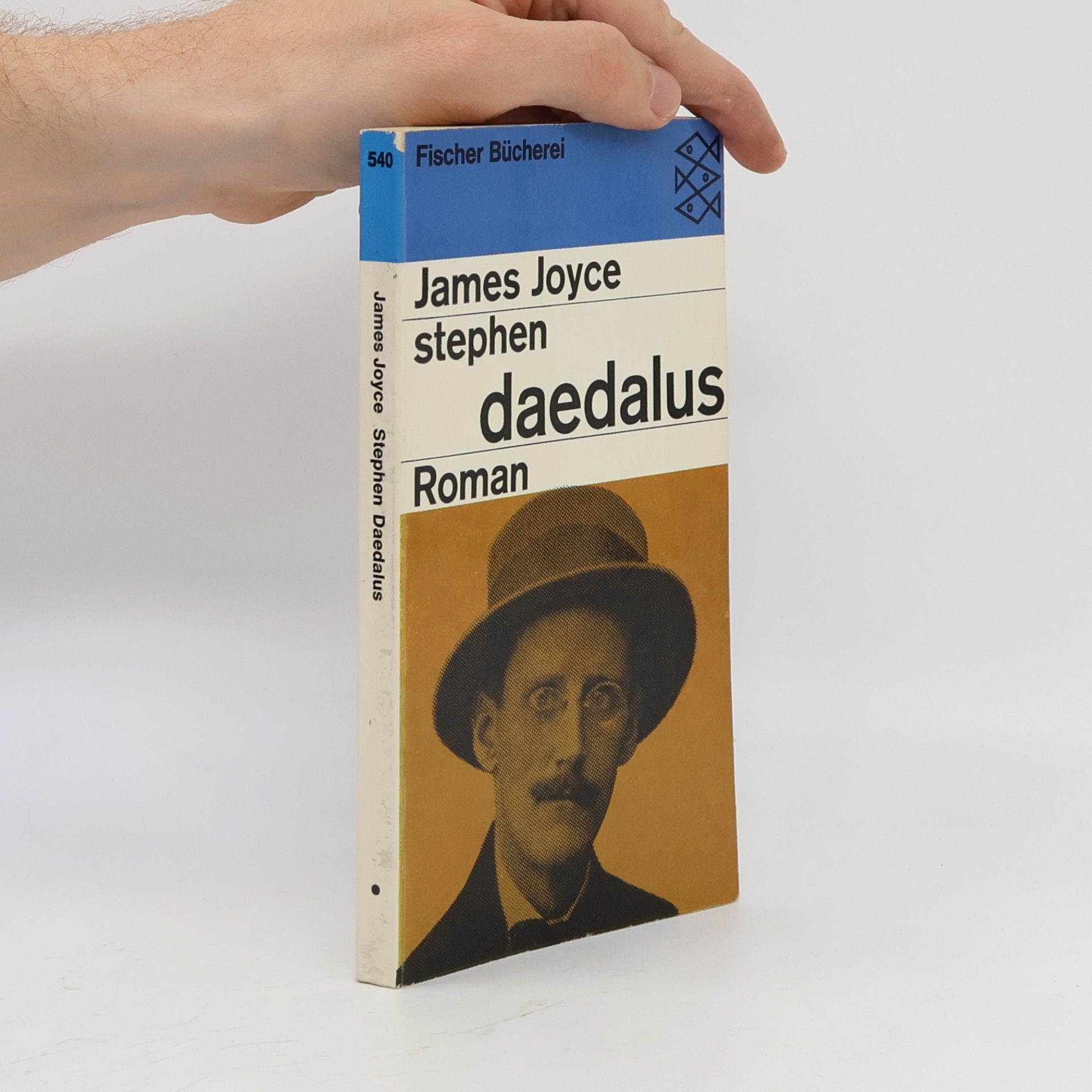 James Joyce Stephen Daedalus