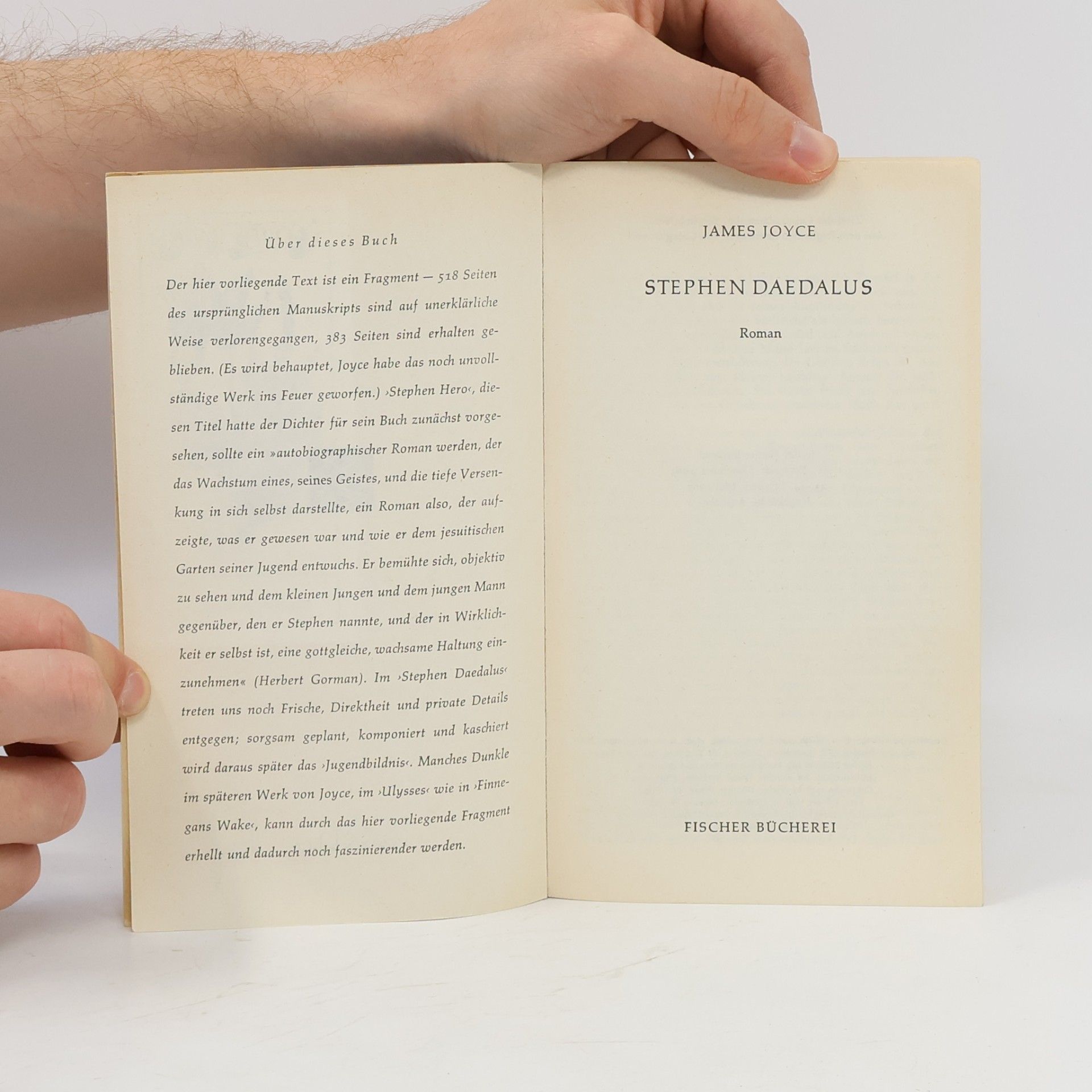 James Joyce Stephen Daedalus