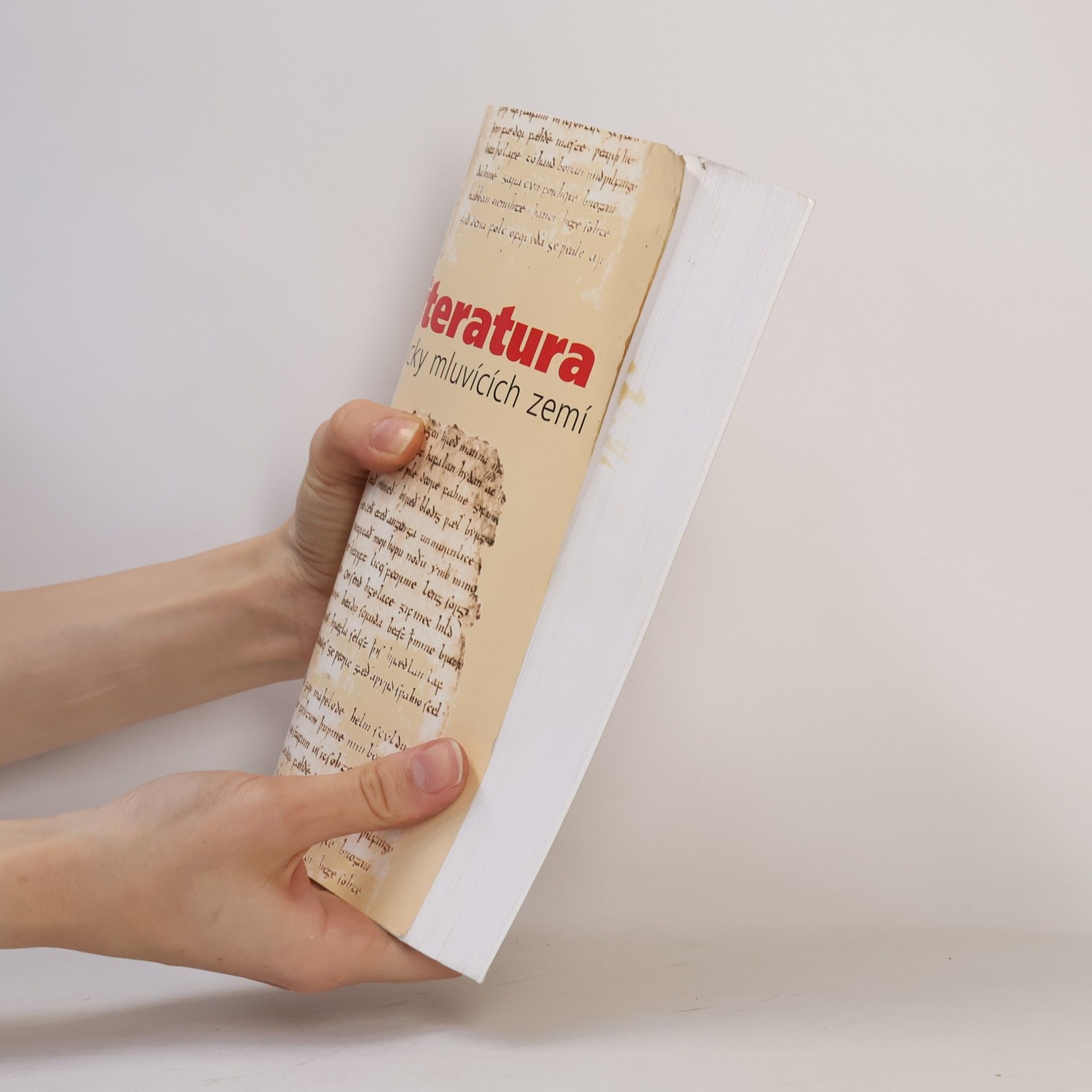 Světla Brendlová Literatura anglicky mluvících zemí. A survey of Literature in English-Speaking Countries
