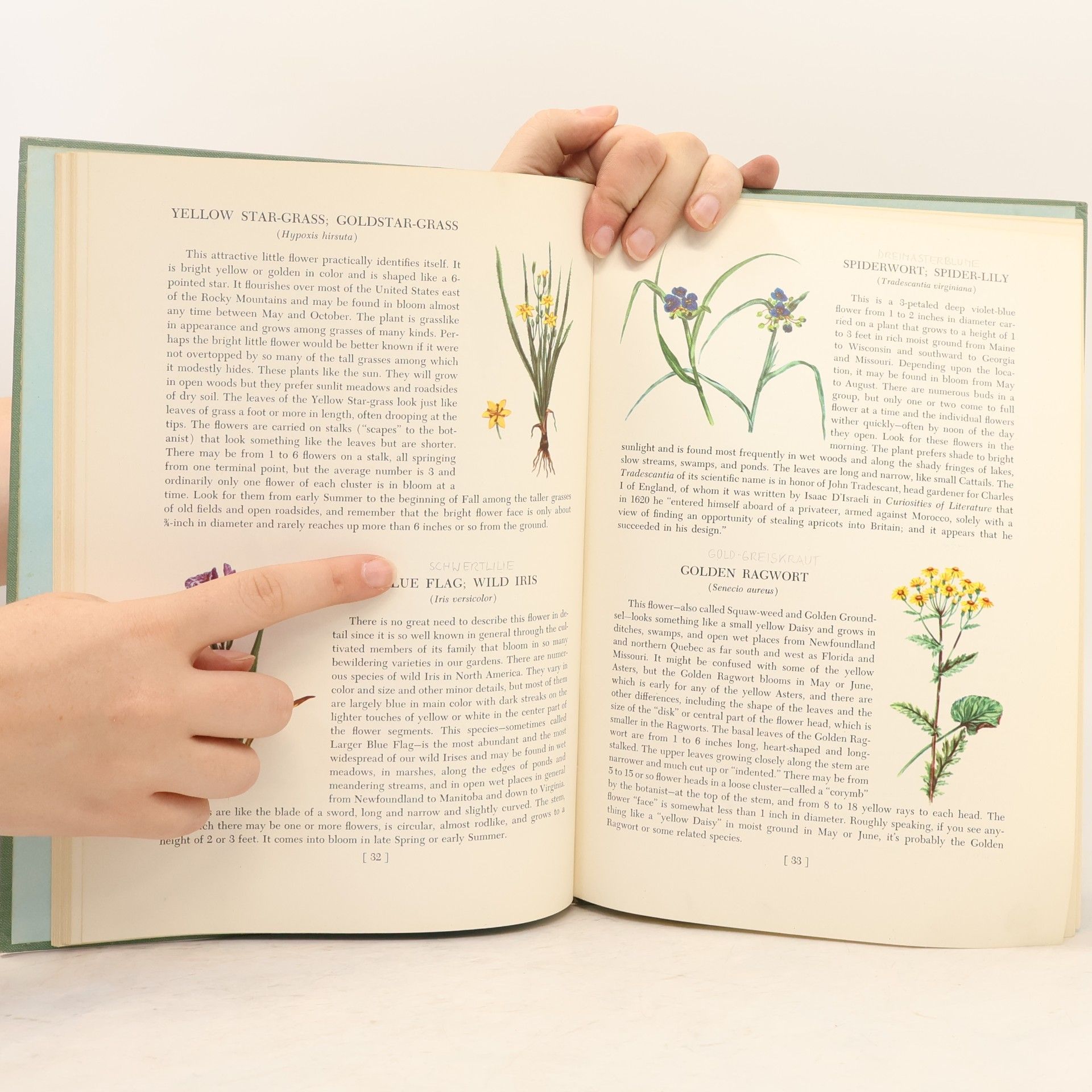 John Kieran An Introduction to Wild Flowers