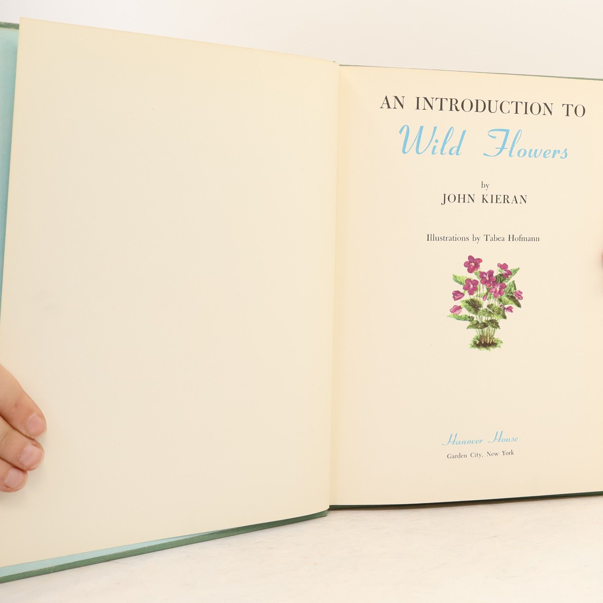 John Kieran An Introduction to Wild Flowers