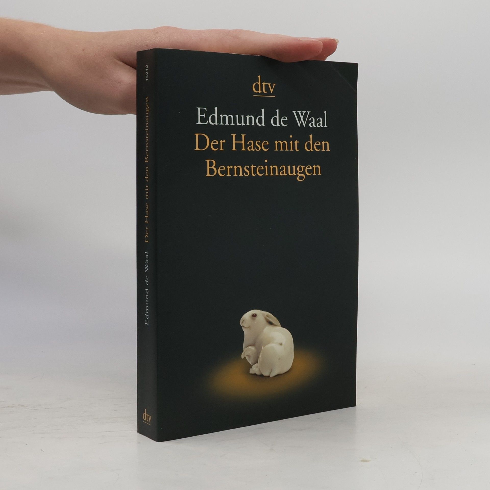 Edmund de Waal Der Hase mit den Bernsteinaugen