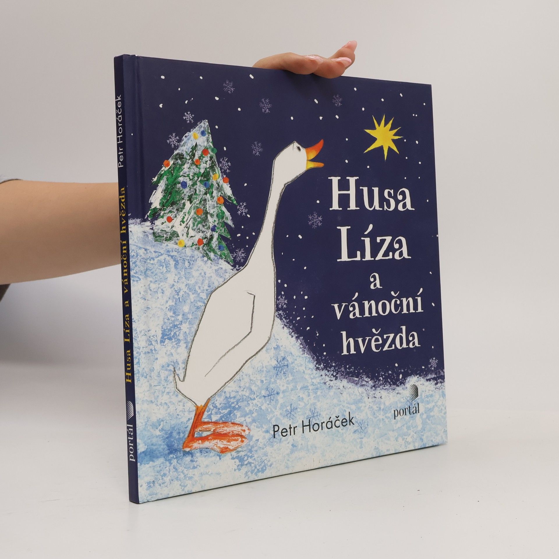 Petr Horáček Husa Líza a vánoční hvězda