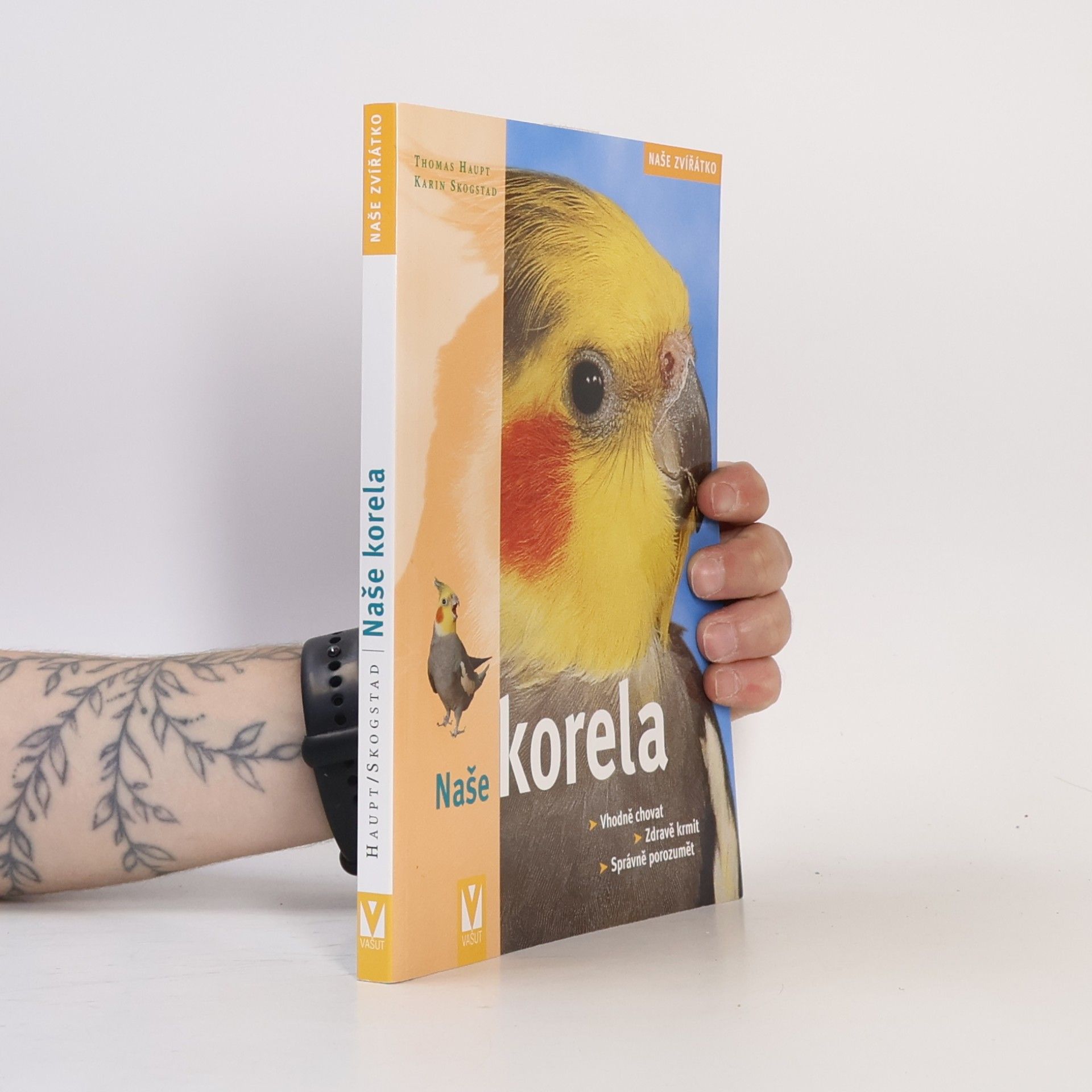 Naše korela