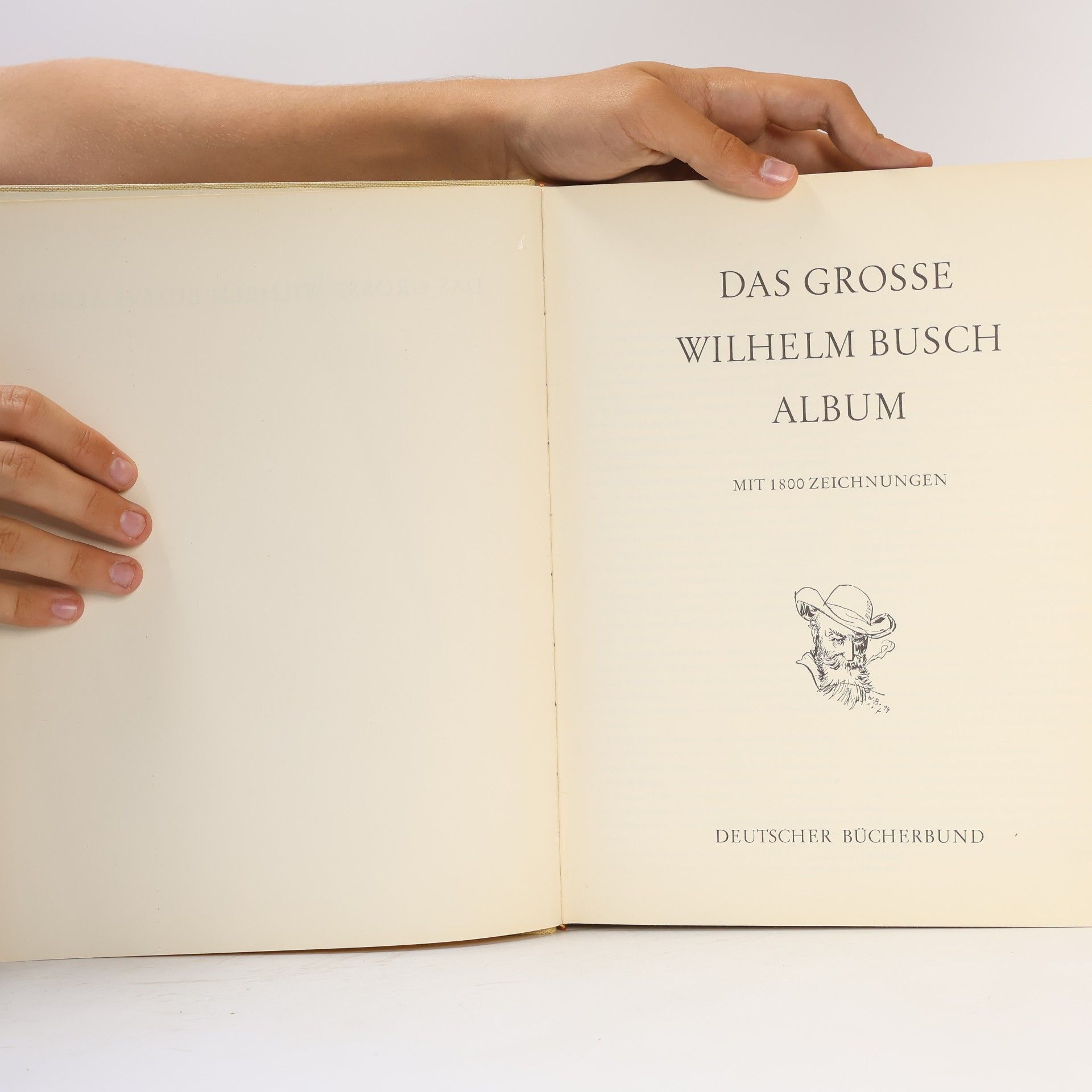 Wilhelm Busch Das grosse Wilhelm Busch-Album